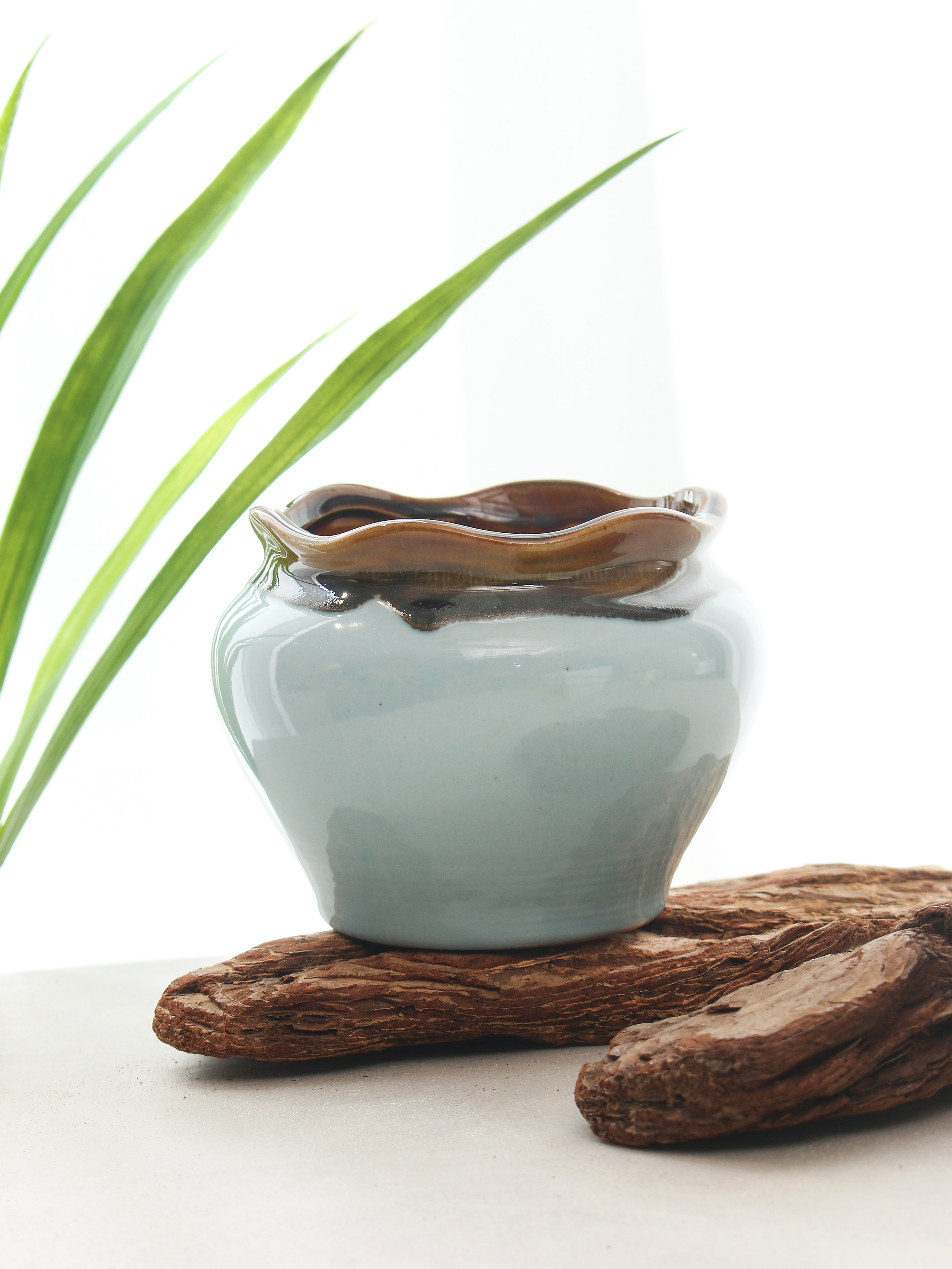 Honey jar petal flower pot