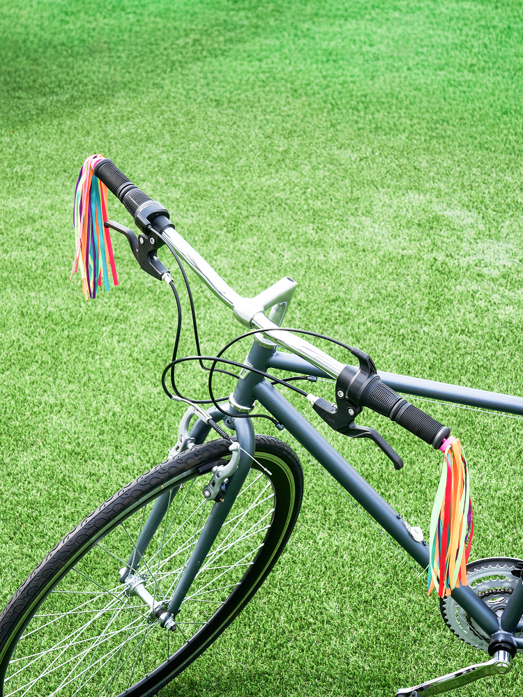 Decorative tassels for handlebars, 2pcs rainbow