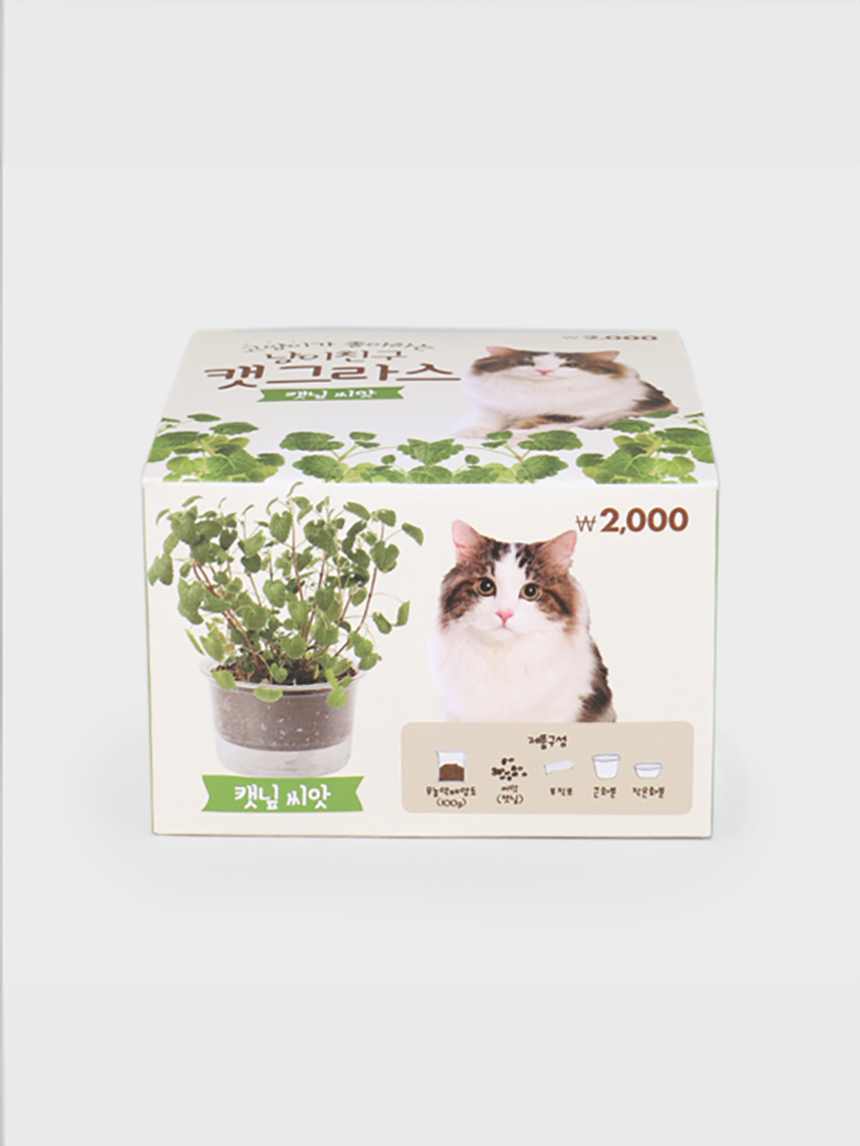 [Pet] COOM cat friend cat grass (catnip seeds)