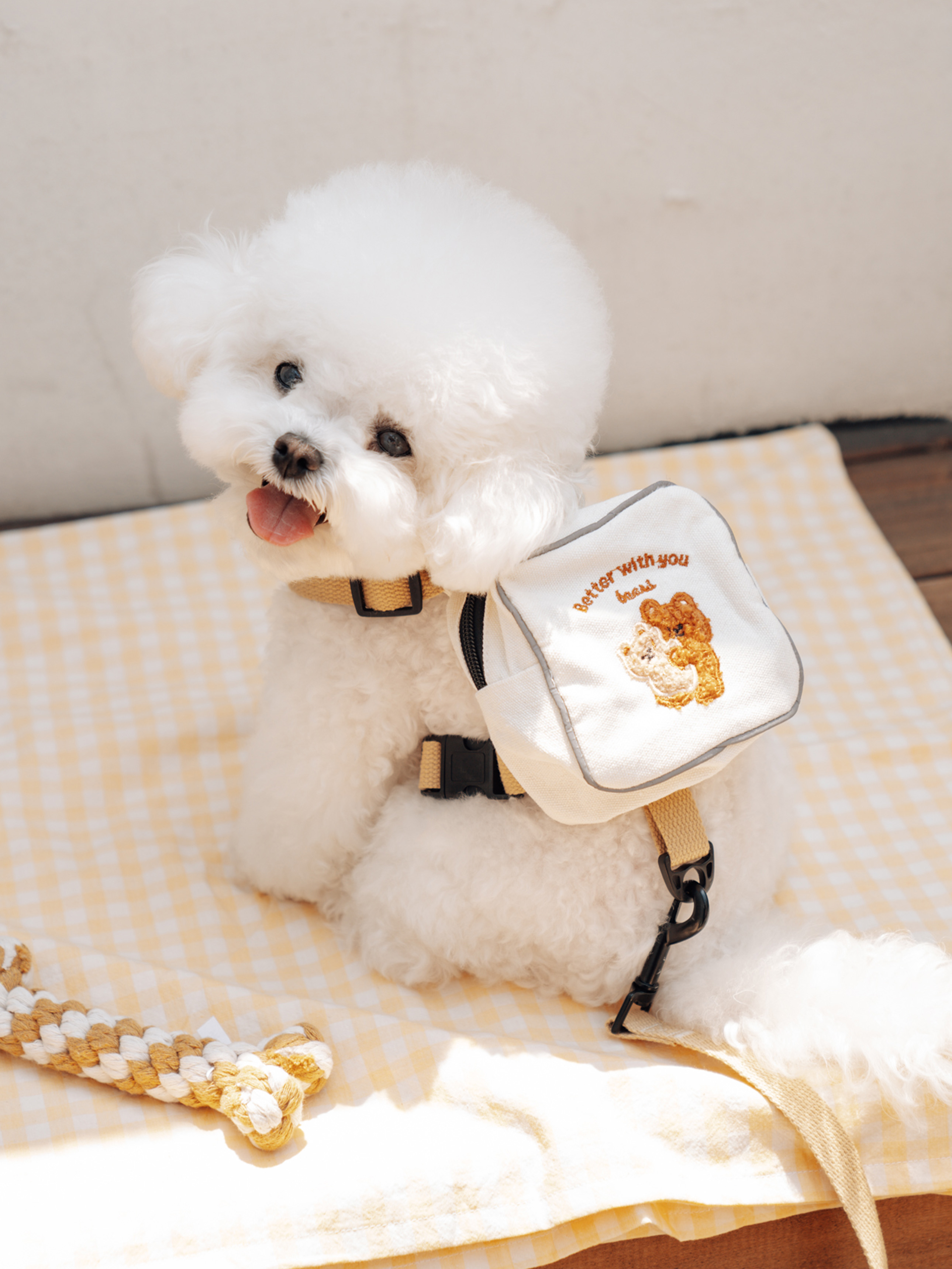 [Pet] Dog Backpack Harness Leash Set M