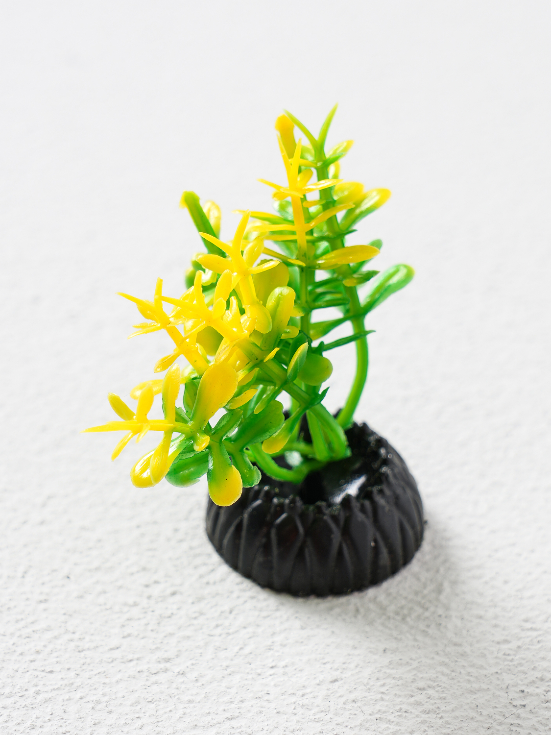 [Pet] 6 mini aquatic plants