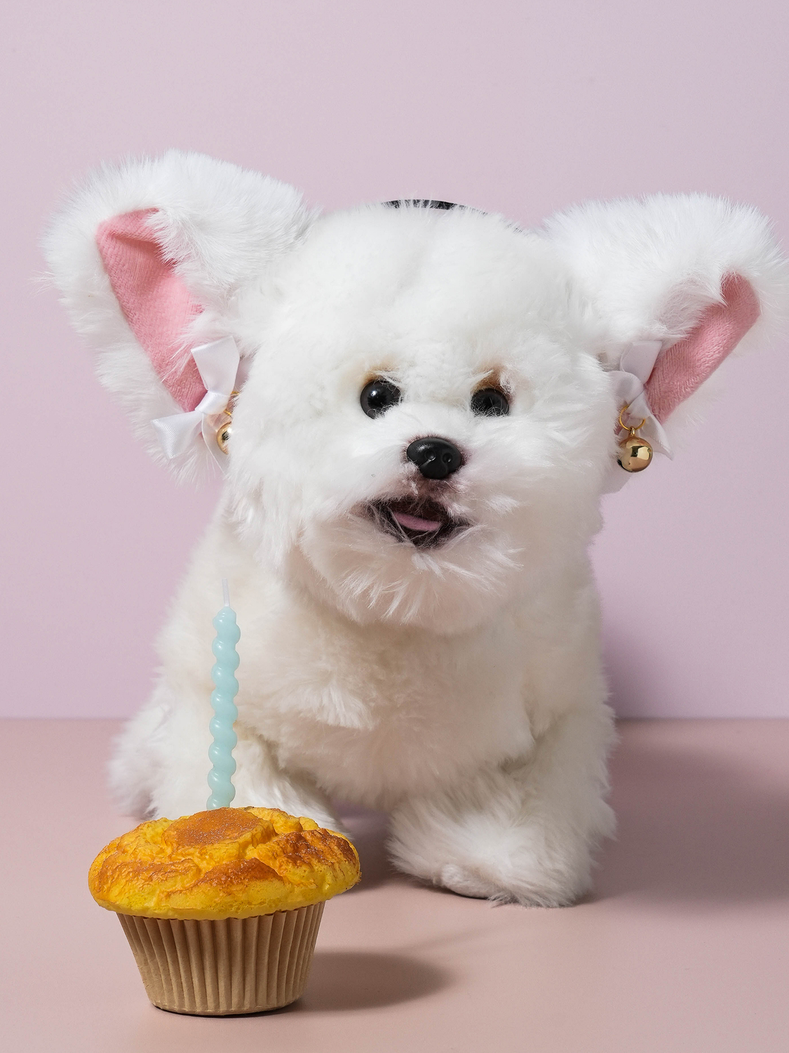 cat headband white