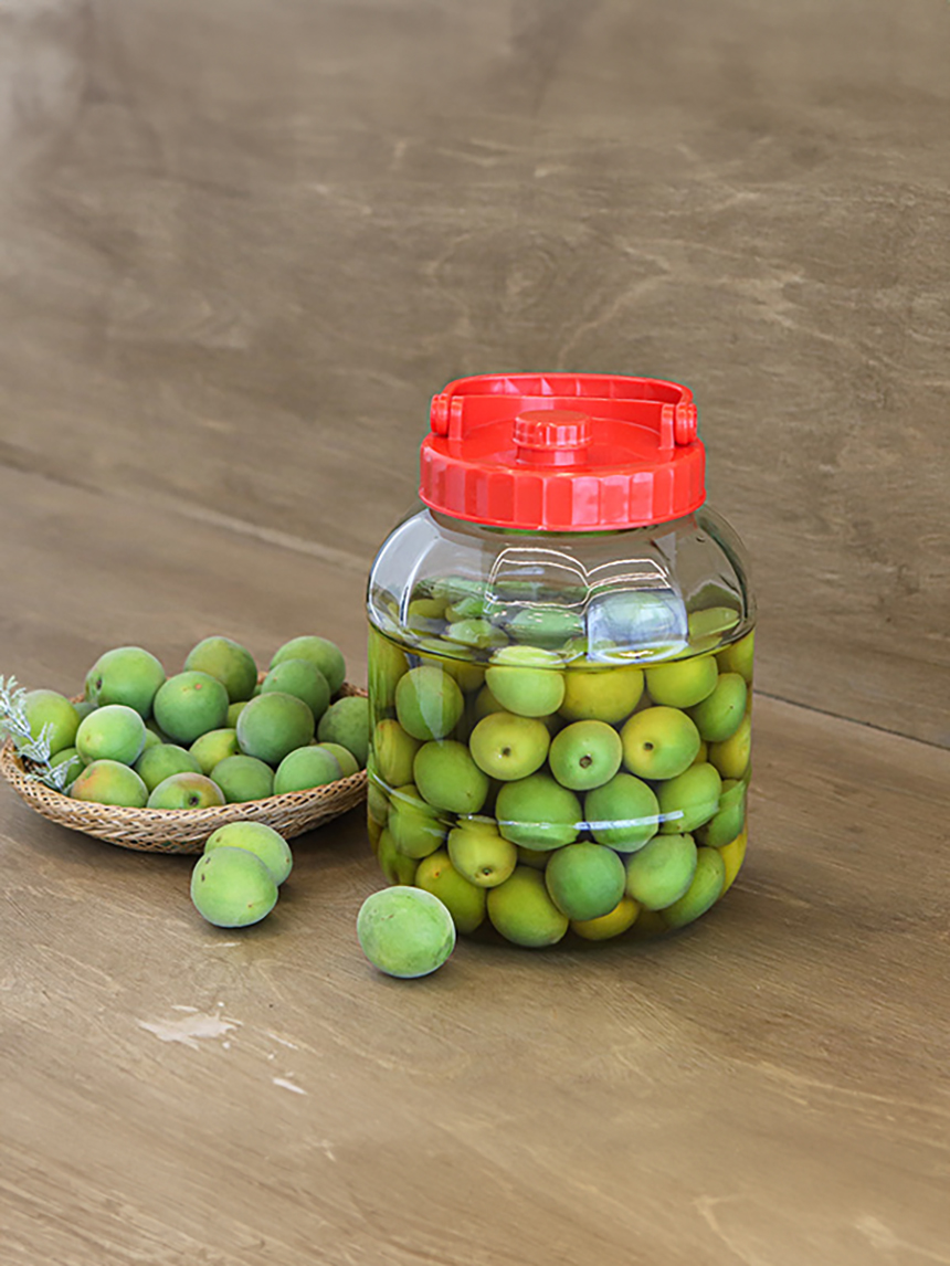 Handle fruit bottle 3.6L