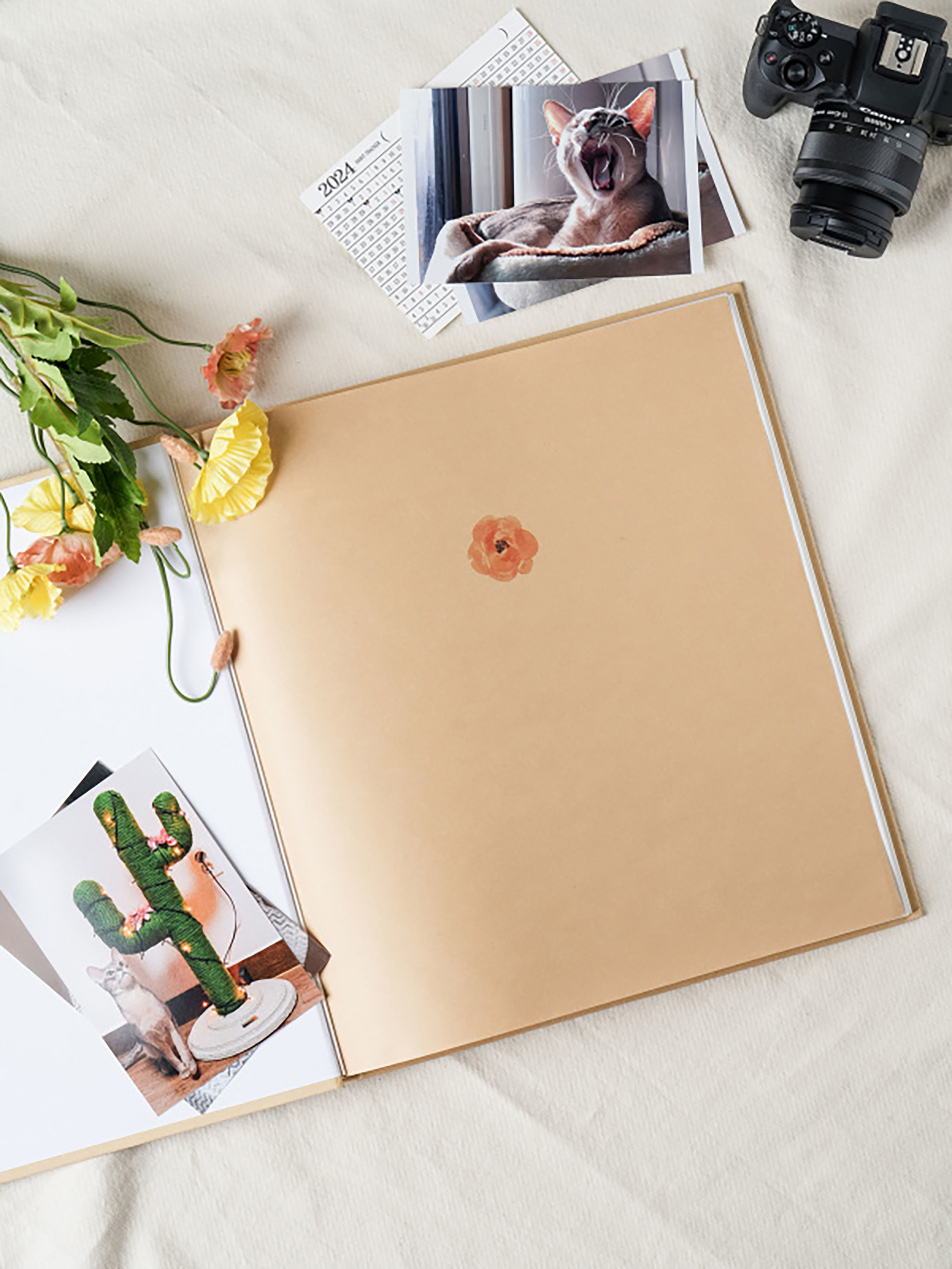 12 extra large adhesive albums