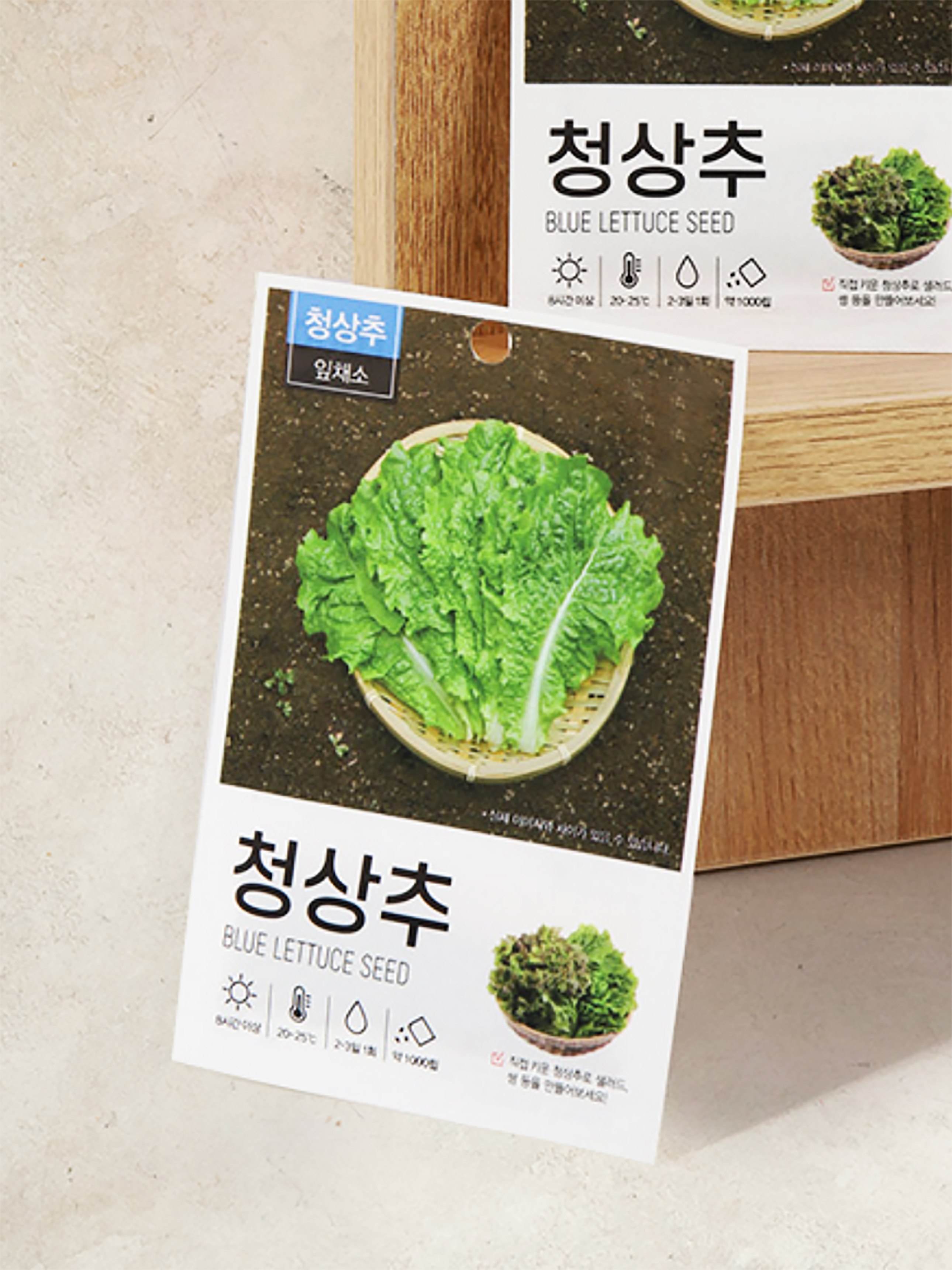 Green Star Green Lettuce Seeds
