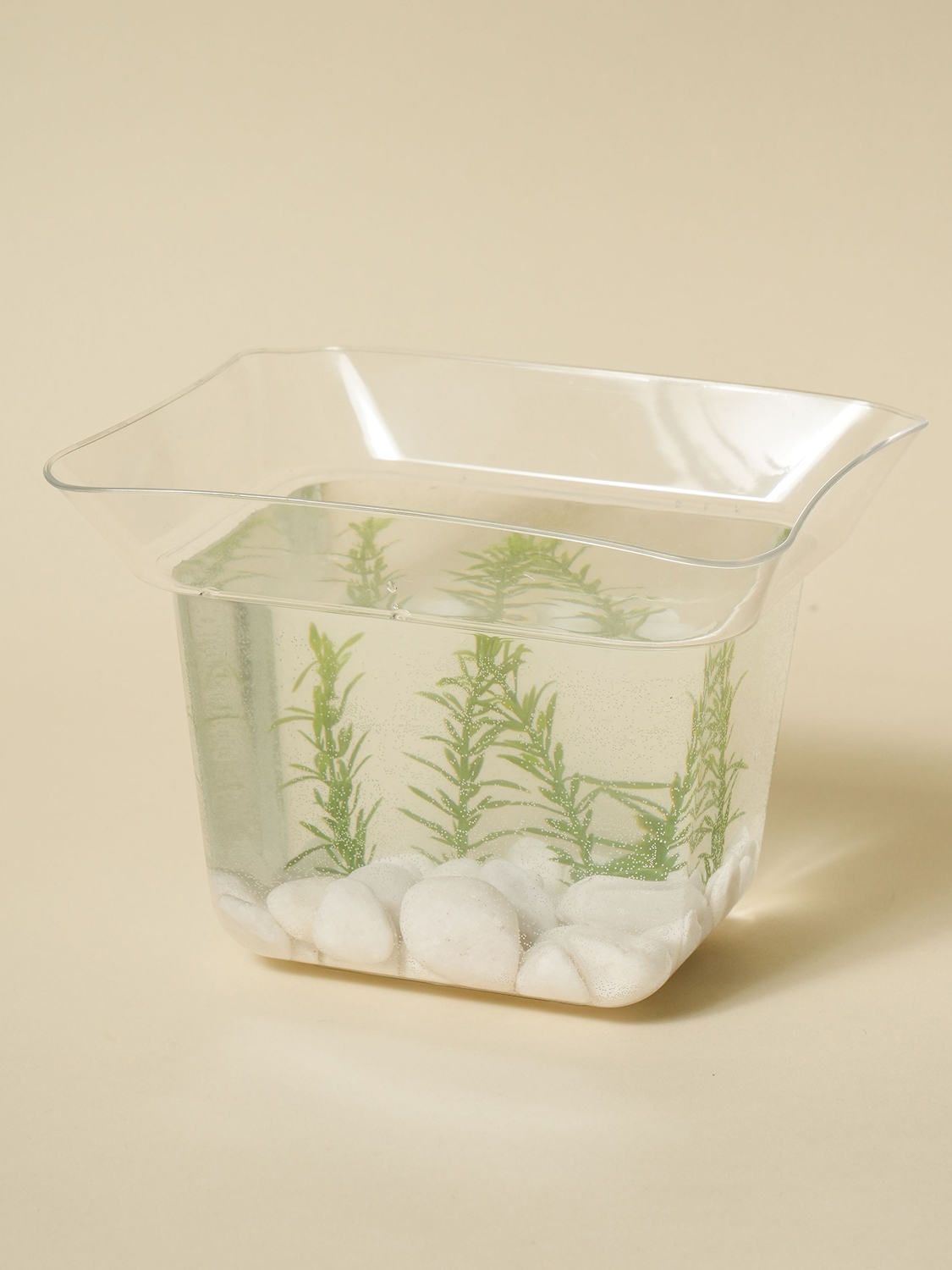 Square fish tank made in Japan