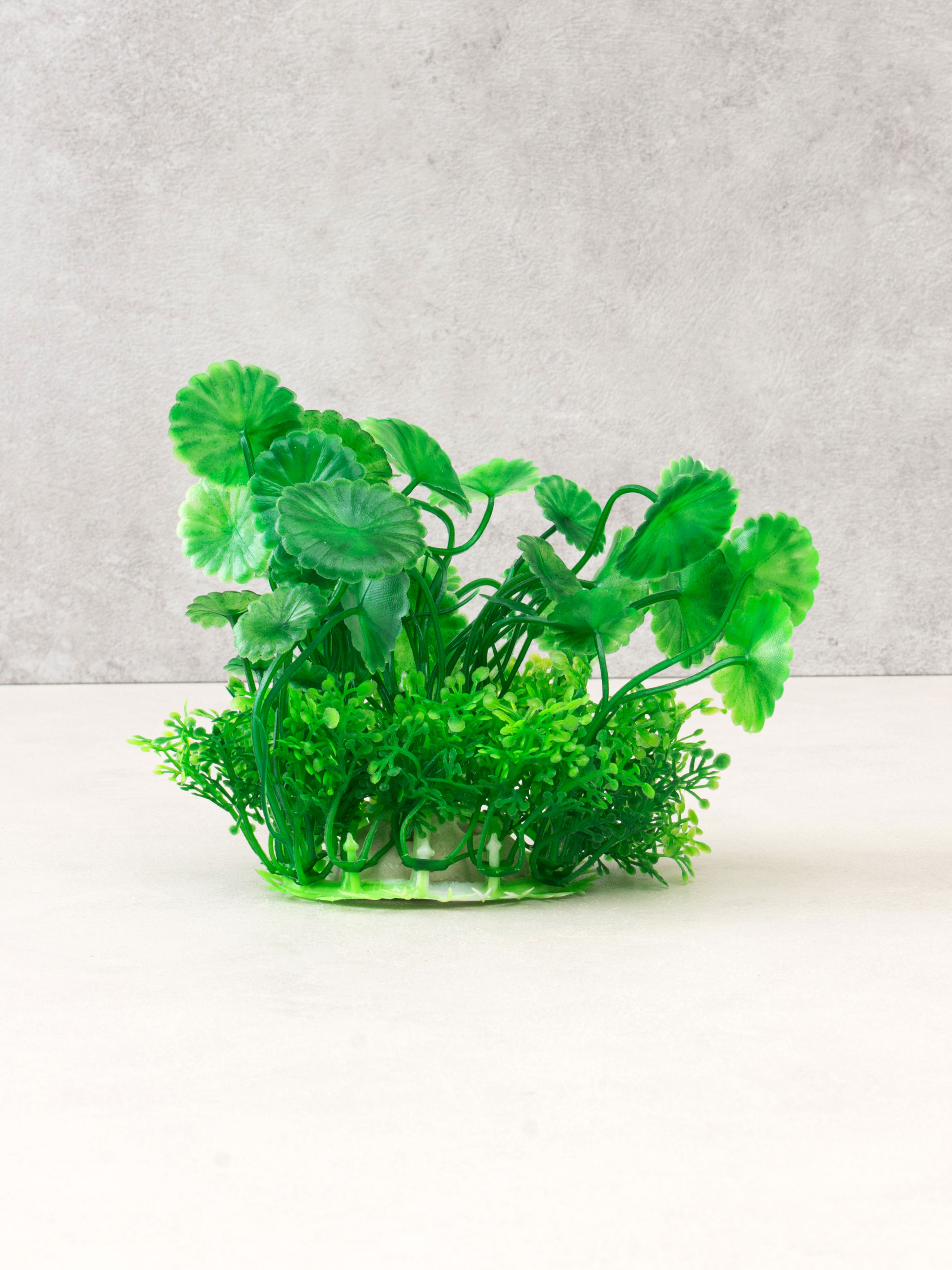 [Pet] Aquatic plant round leaves for fish tank
