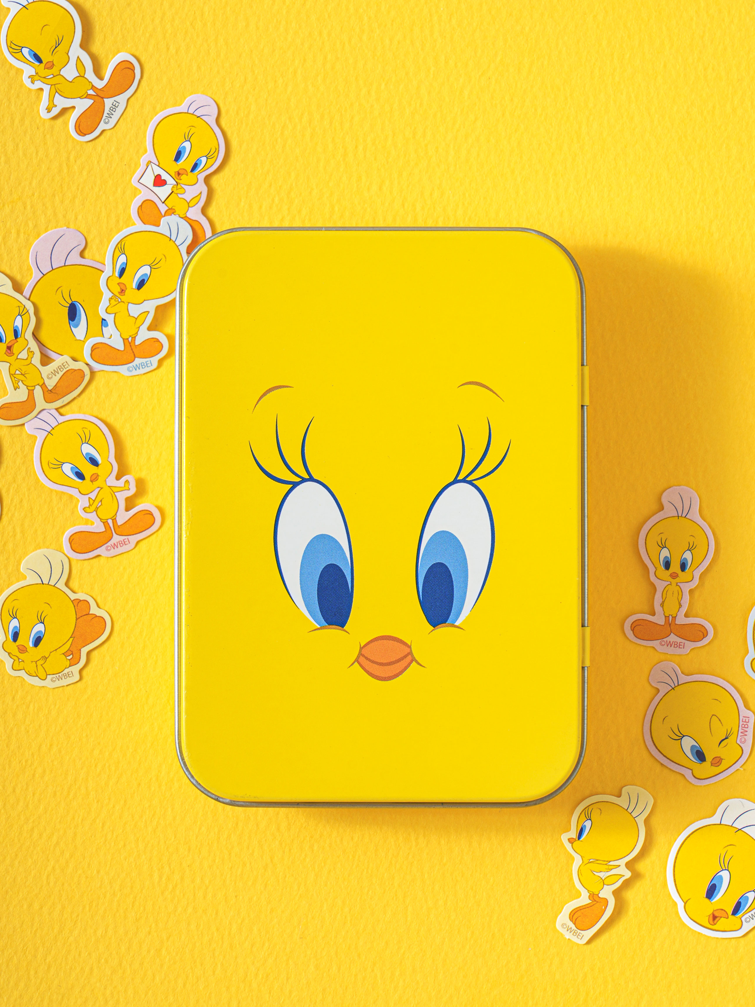 Looney Tunes Sticker & Tin Case Set