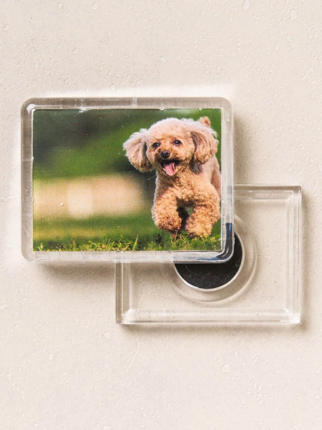 Magnet Mini Photo Frame 4