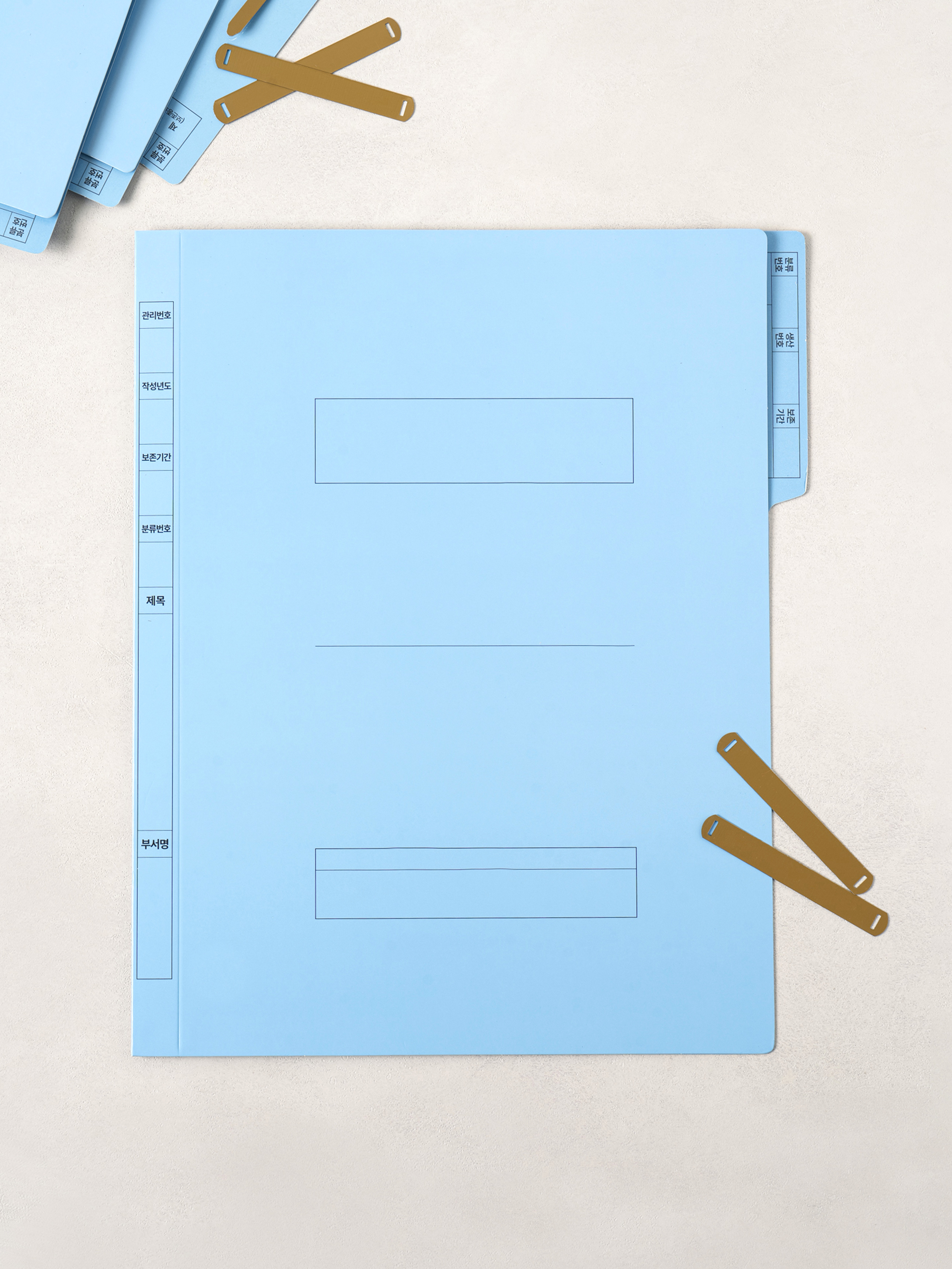 Office government files 4-pack blue