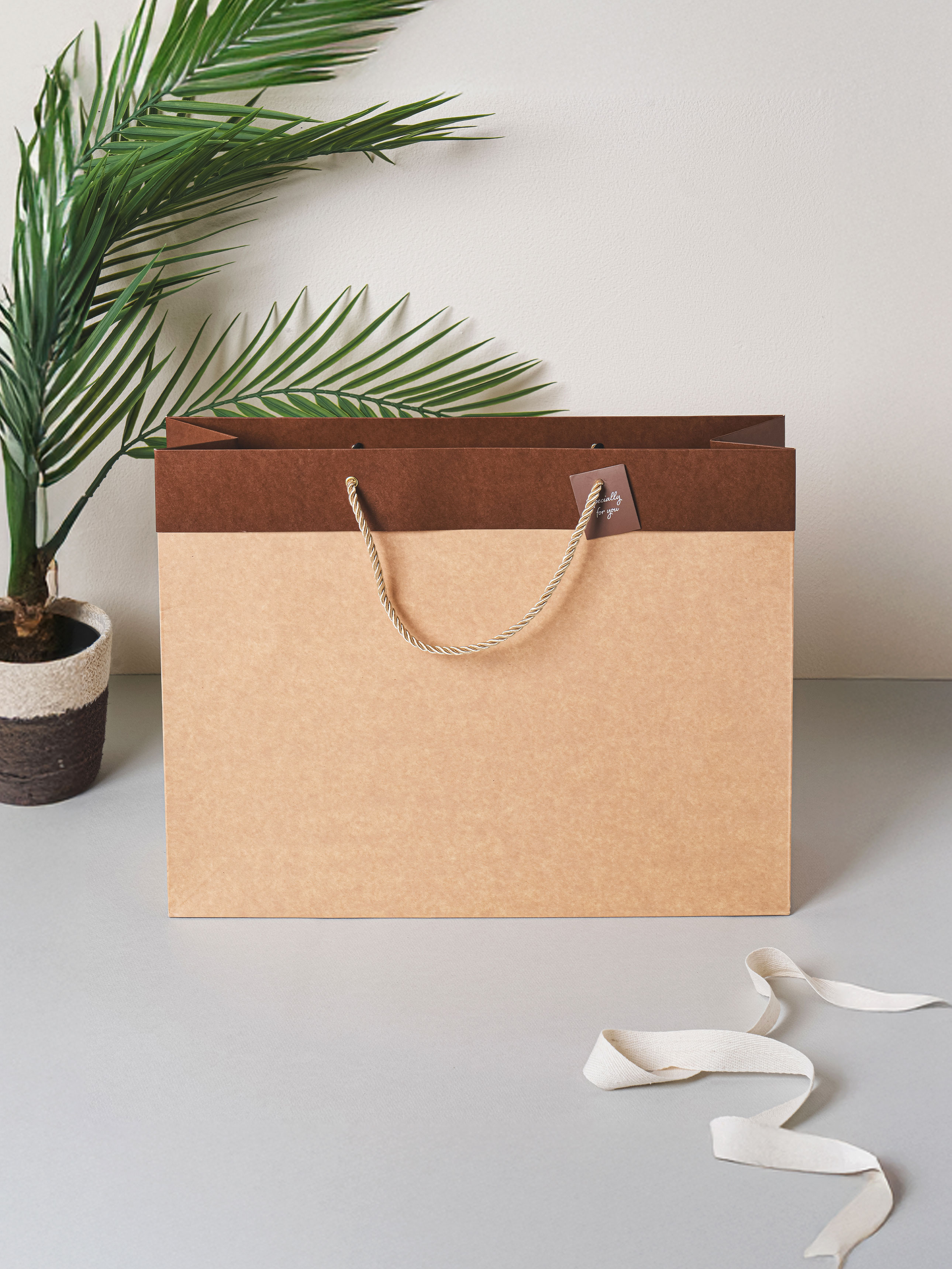 Top Point Kraft Gift Bag L Brown