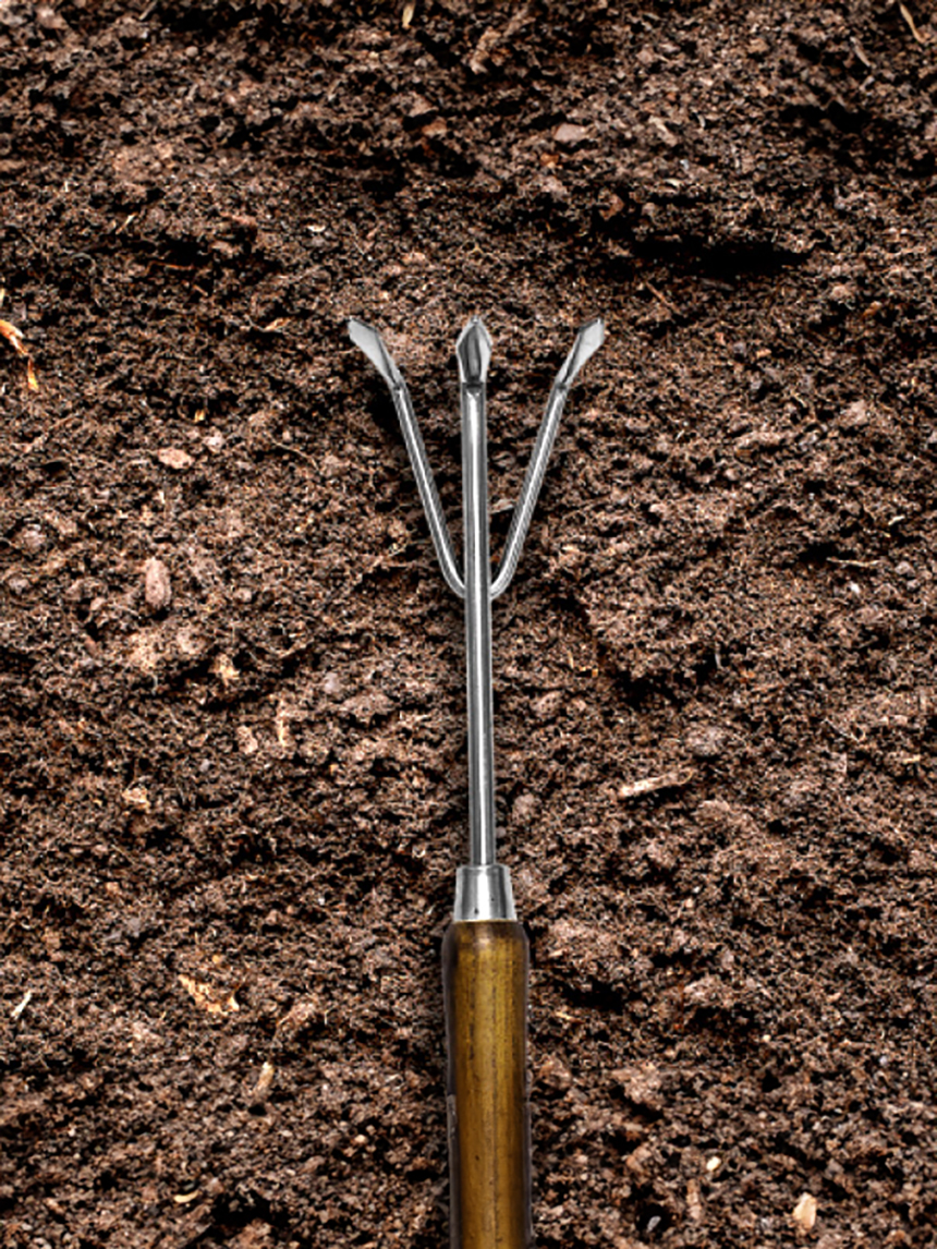 Darkwood Hook
