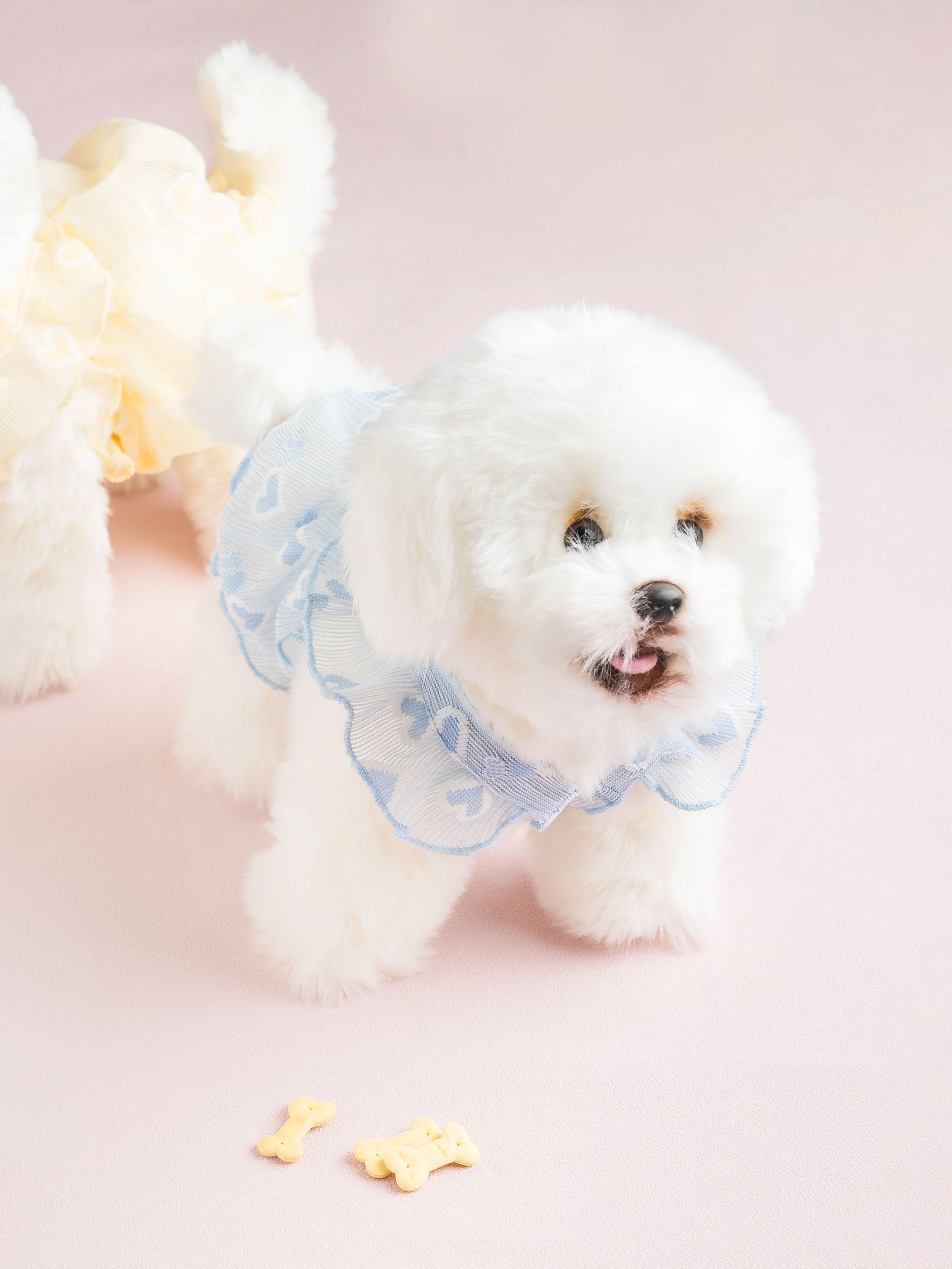 [Pet] Heart See-through Crop Tee M