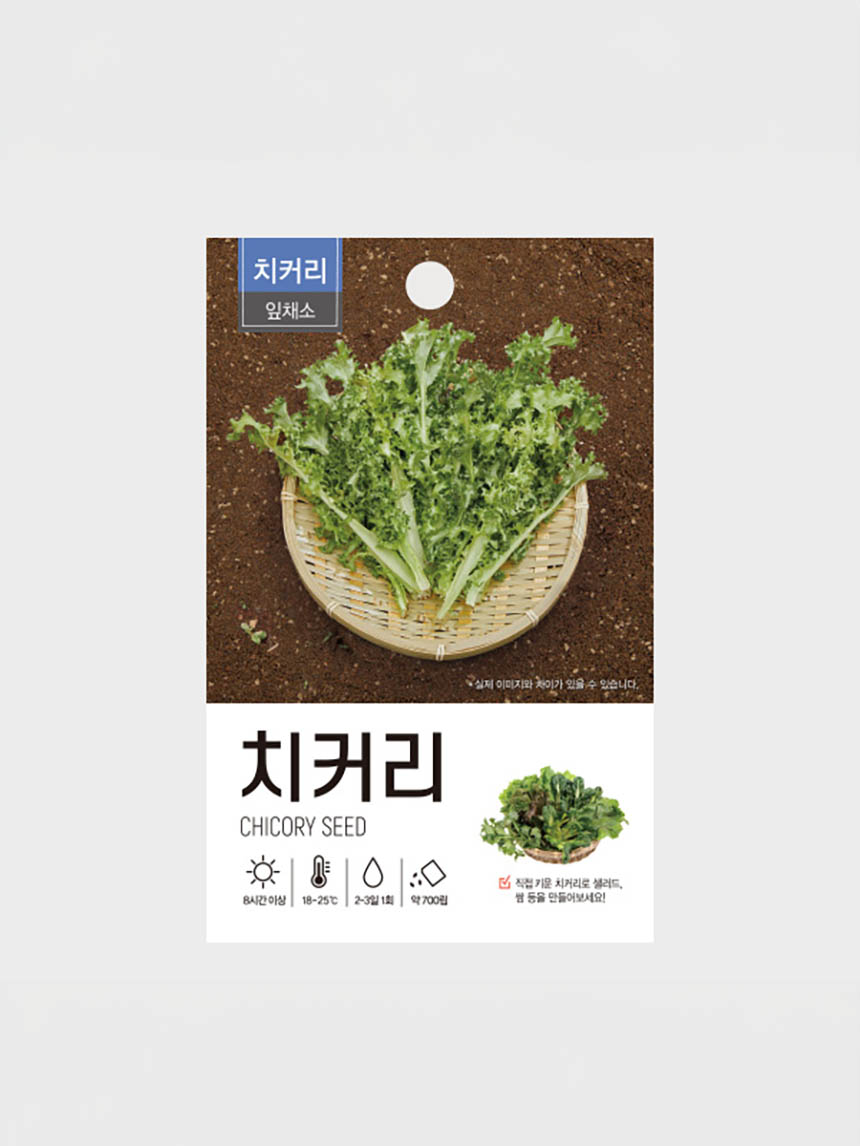 Green Star Chicory Seeds