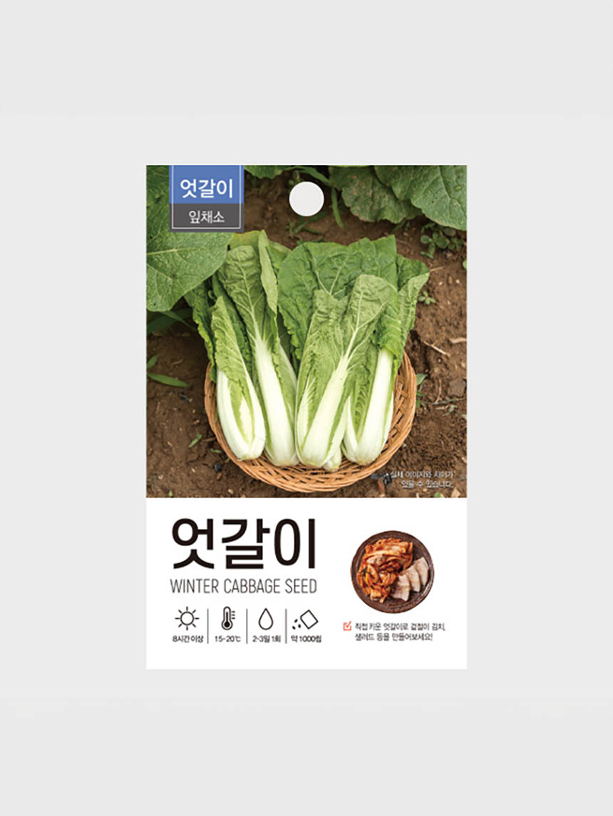 Green Star Crossed Cabbage Seeds