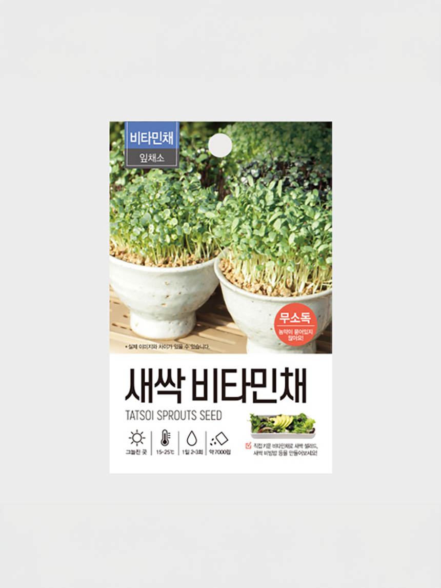 sprout vegetable vitamins