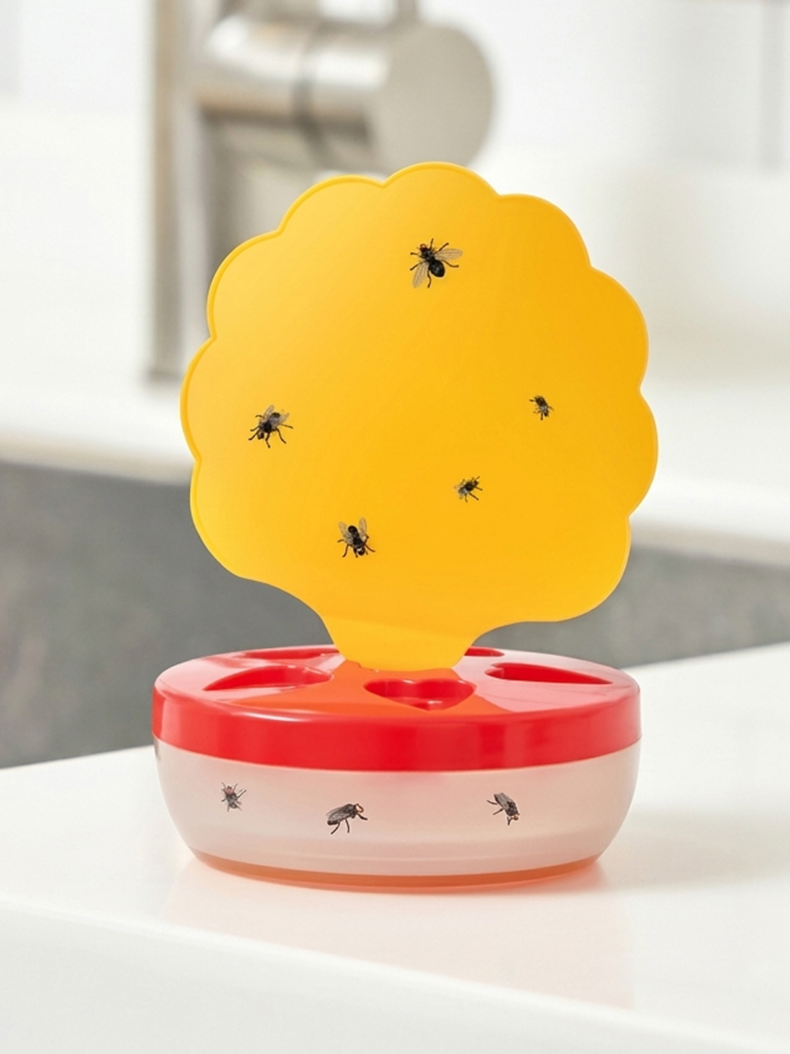 2in1 fruit fly trap set