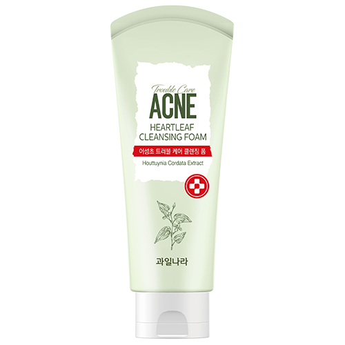 Kwailnara Seasonal Houttuynia cordata trouble care cleansing foam