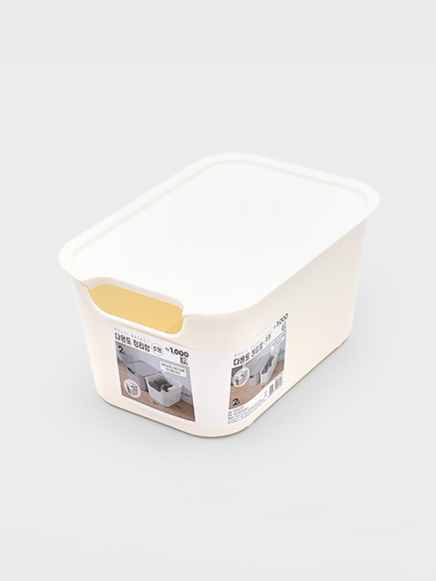 lid storage box small