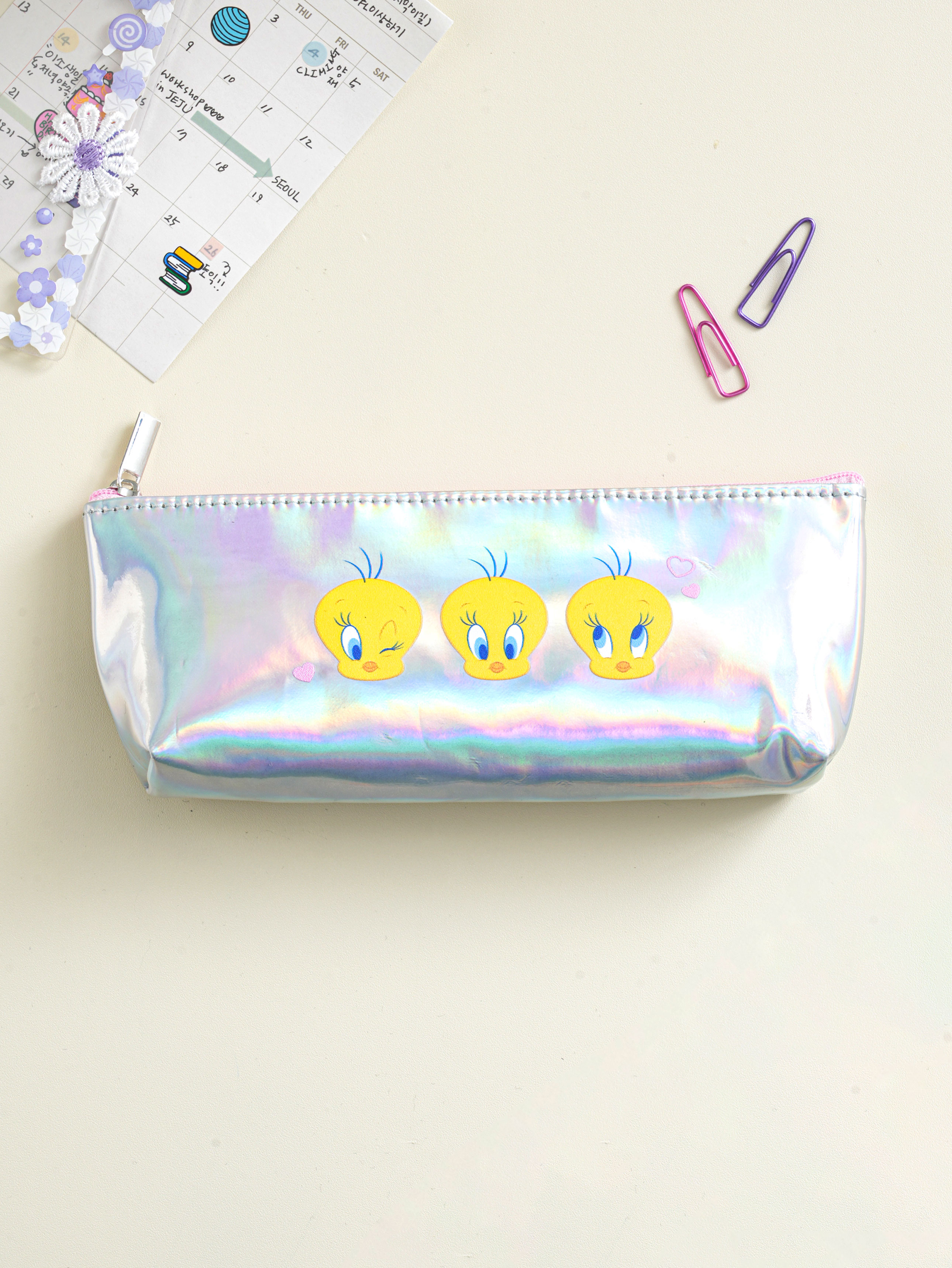 Looney Tunes Hologram Pencil Case