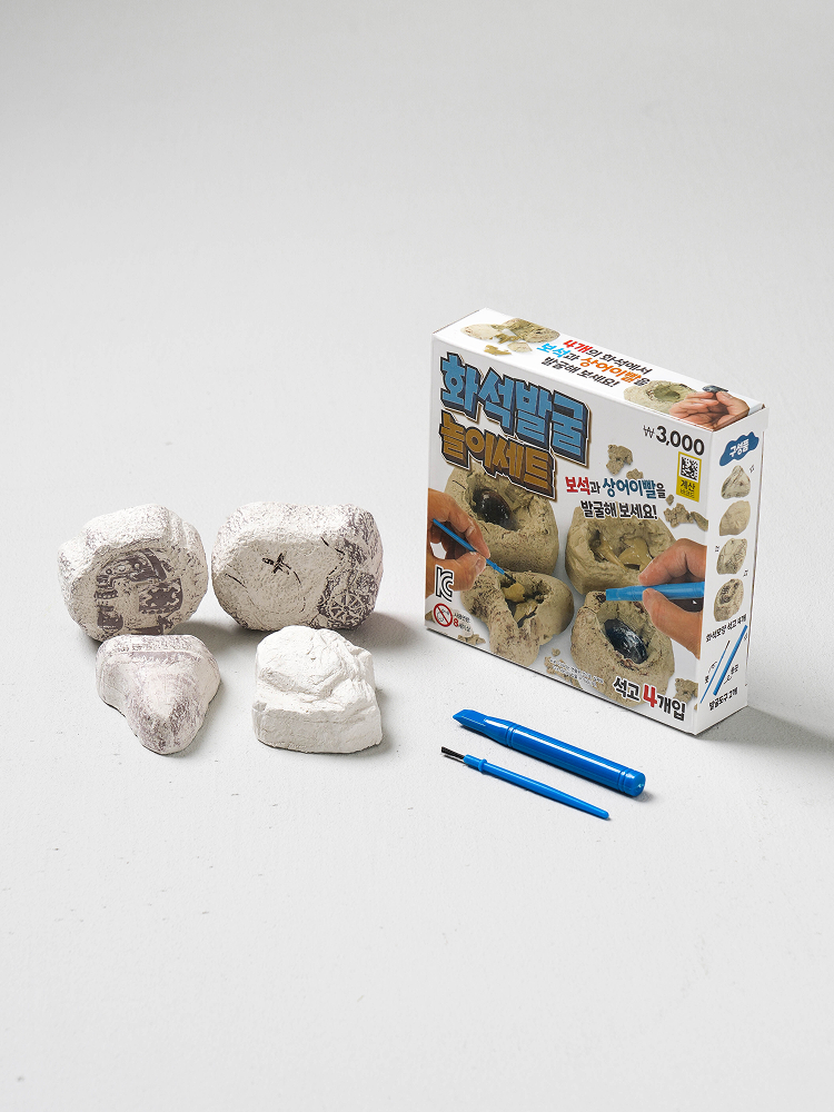 Fossil Excavation Play Set Pirate Map & Shark Tooth