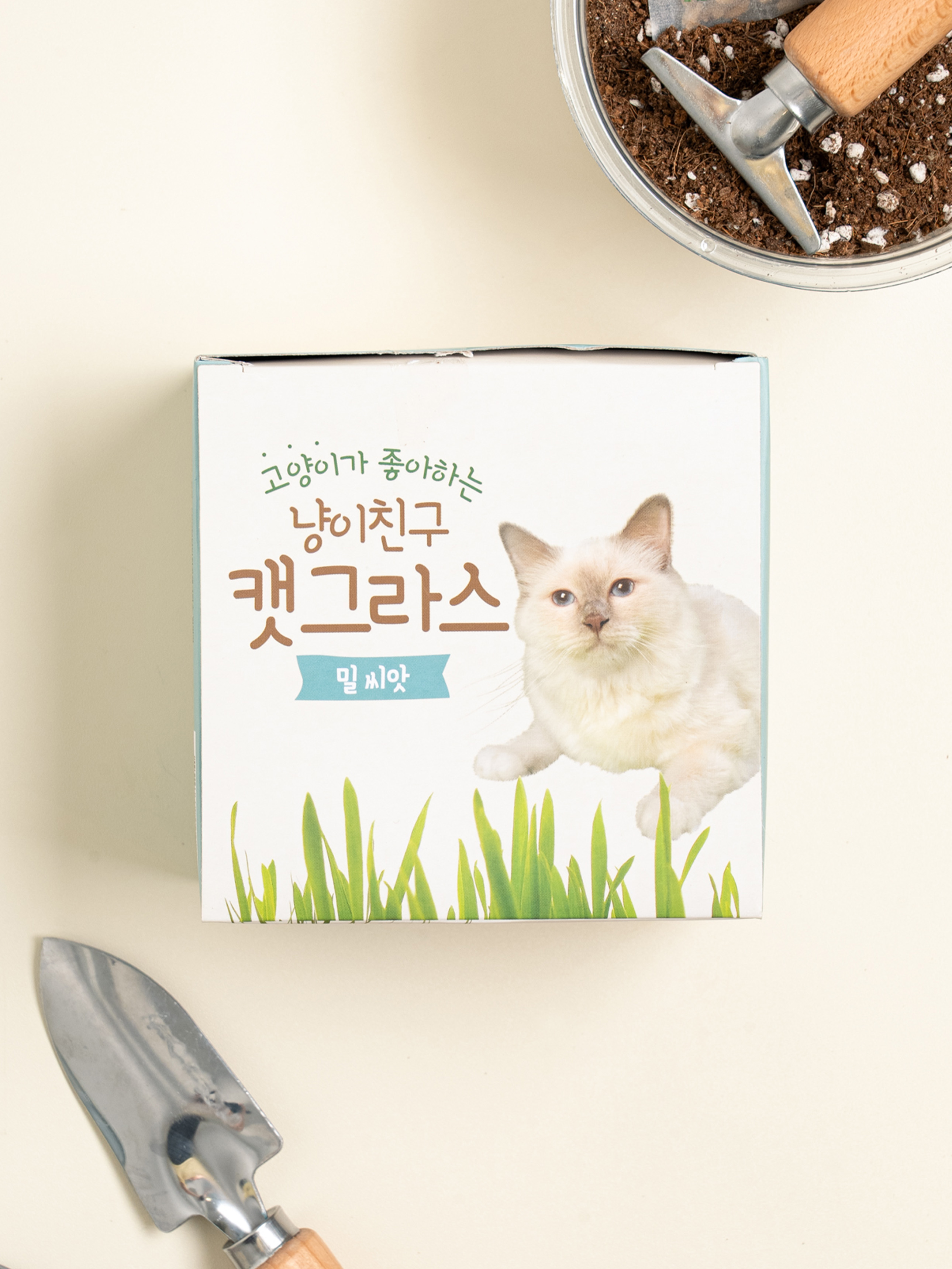 [Pet] COOM Cat Friend Cat Grass-Wheat Seeds