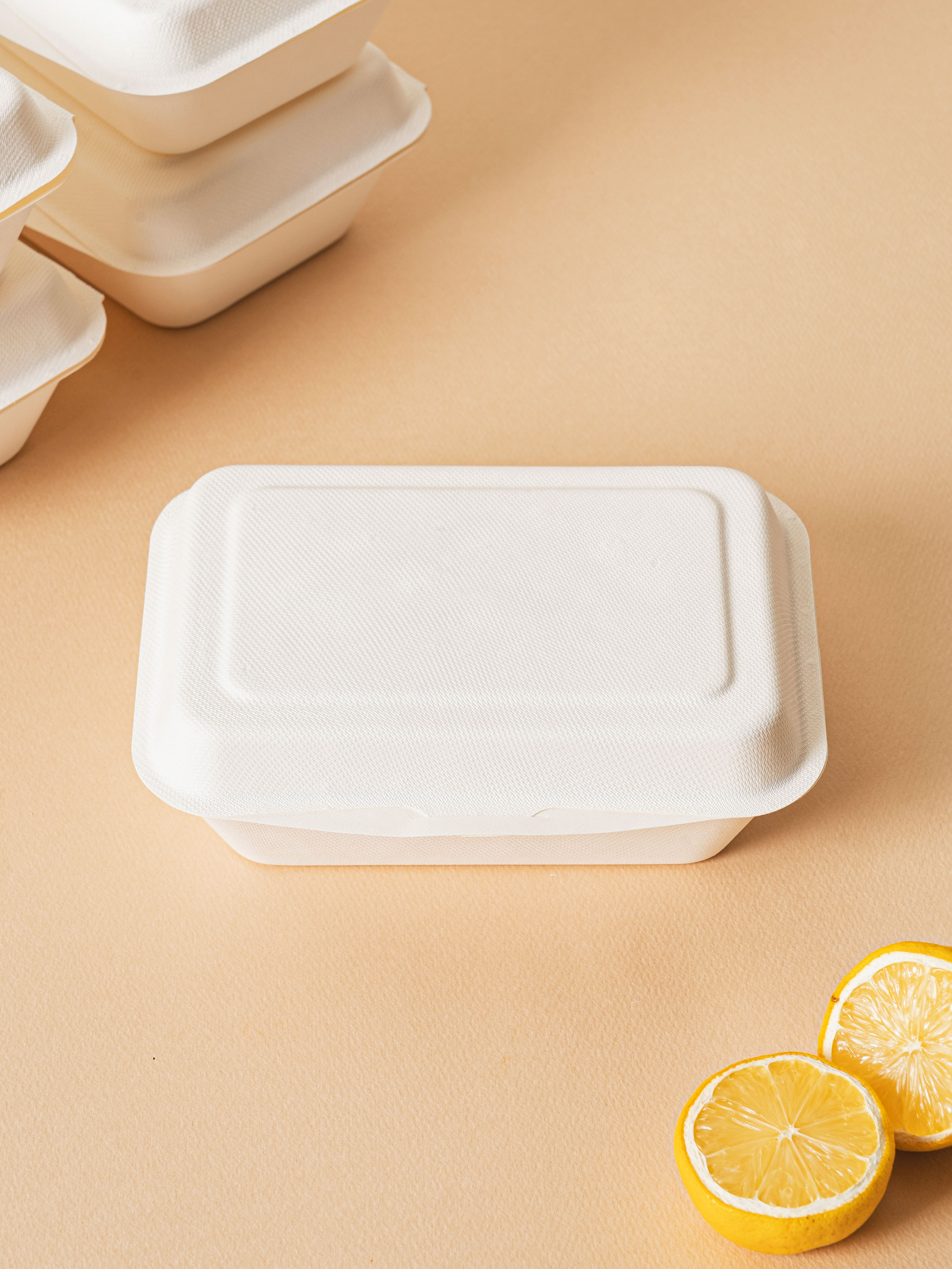 Bamboo & sugarcane pulp lunch box 18