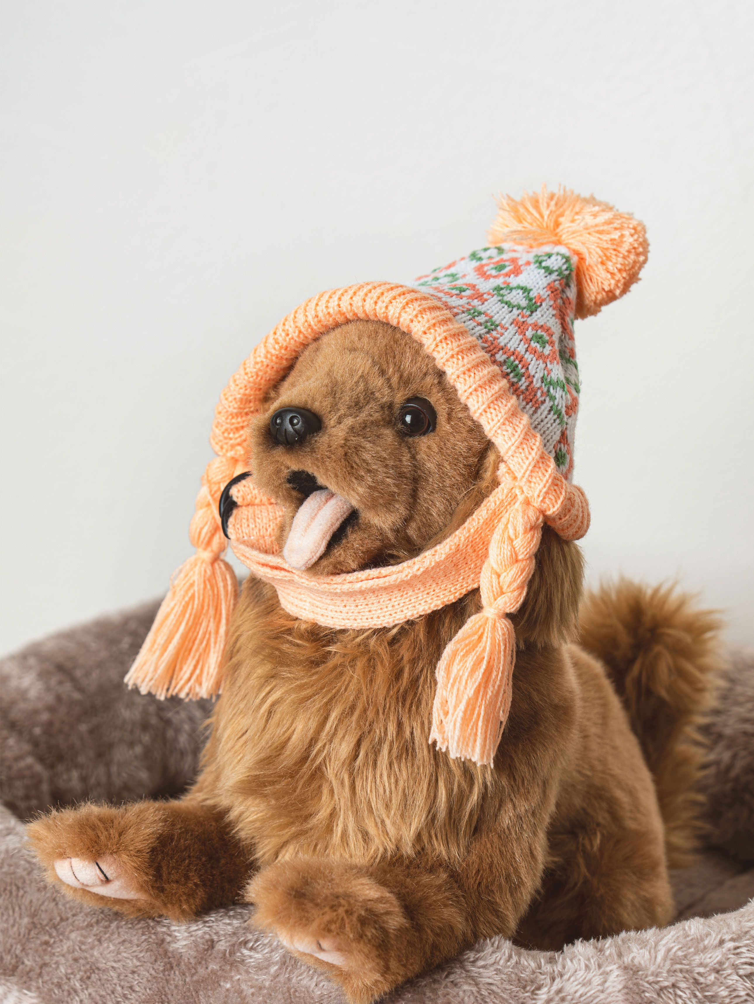 [Pet] Two-pronged knit hat with fur bells
