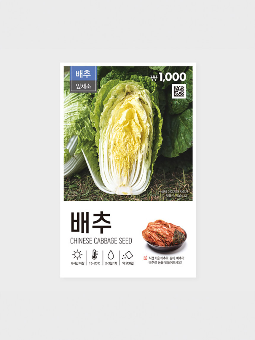 Green Star Cabbage Seeds for Kimchi