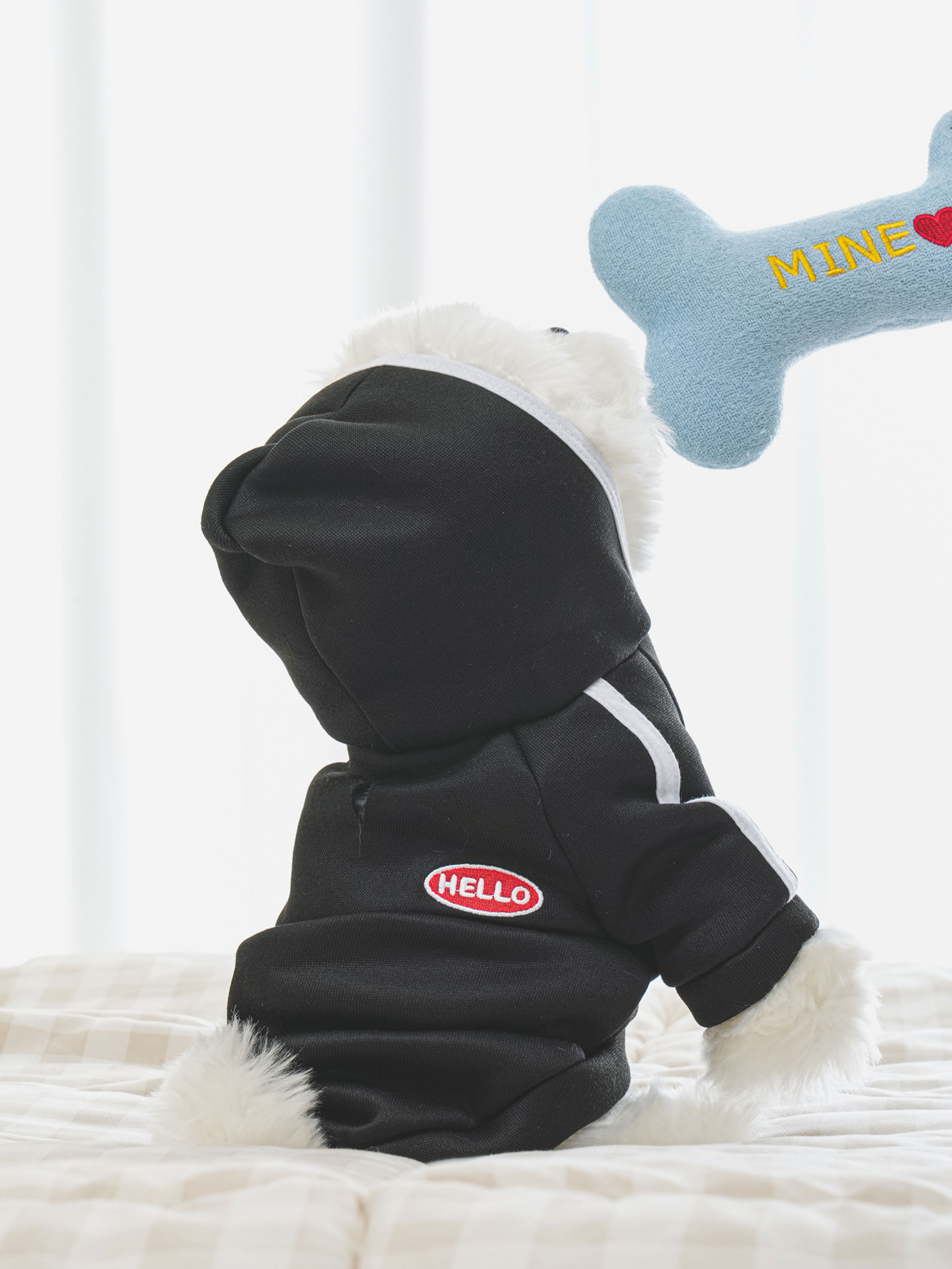 [Pet] Hooded training suit M black