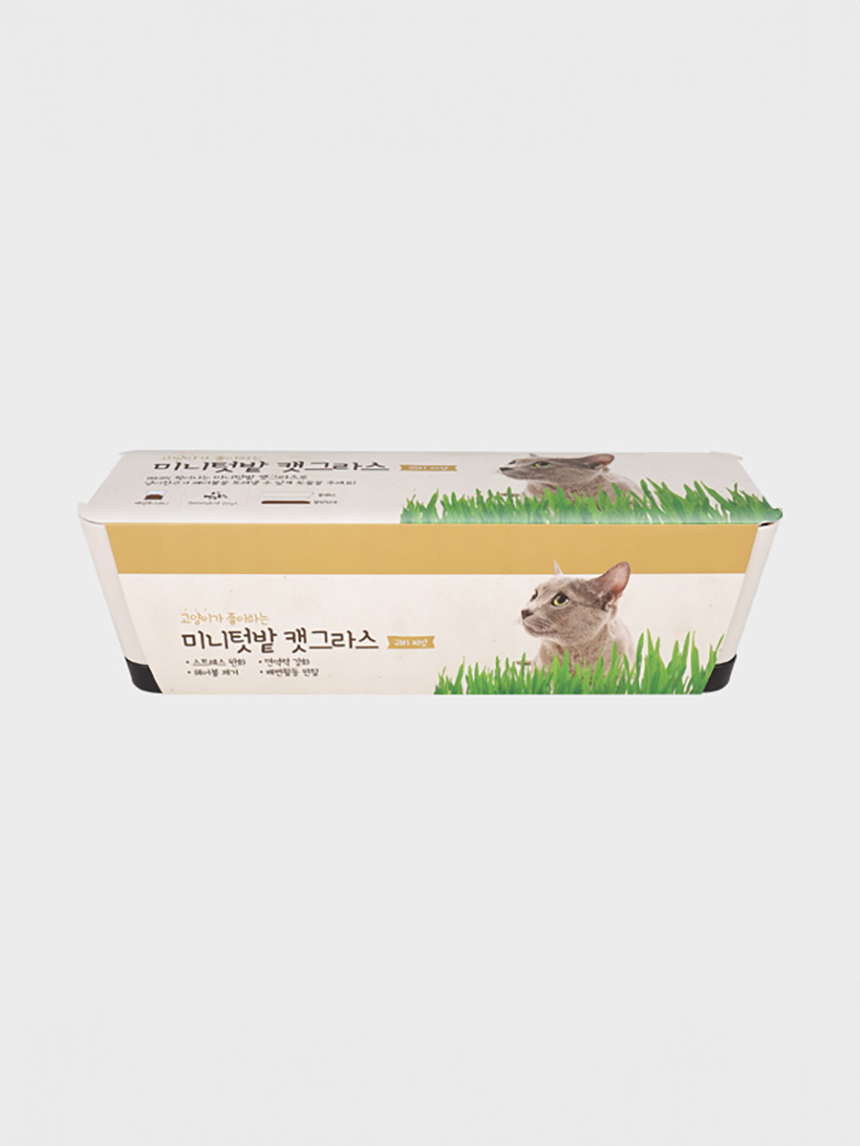 [Pet] COOM mini garden cat grass (oats)