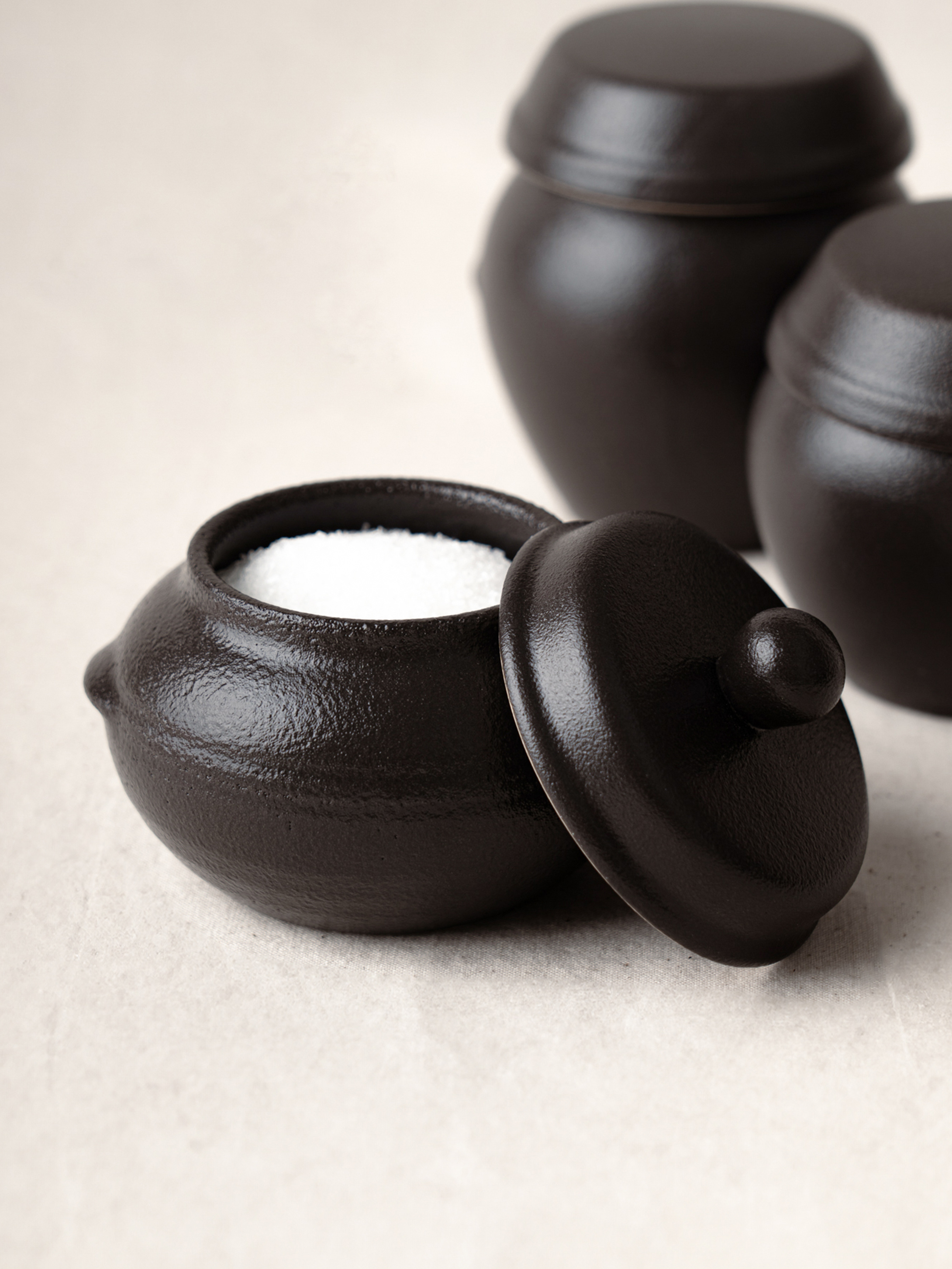 Gaon handle jar seasoning container (small)