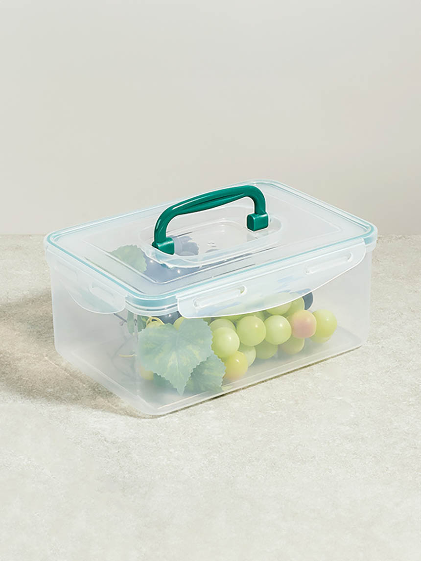 Natural rectangular handle type 2.8L