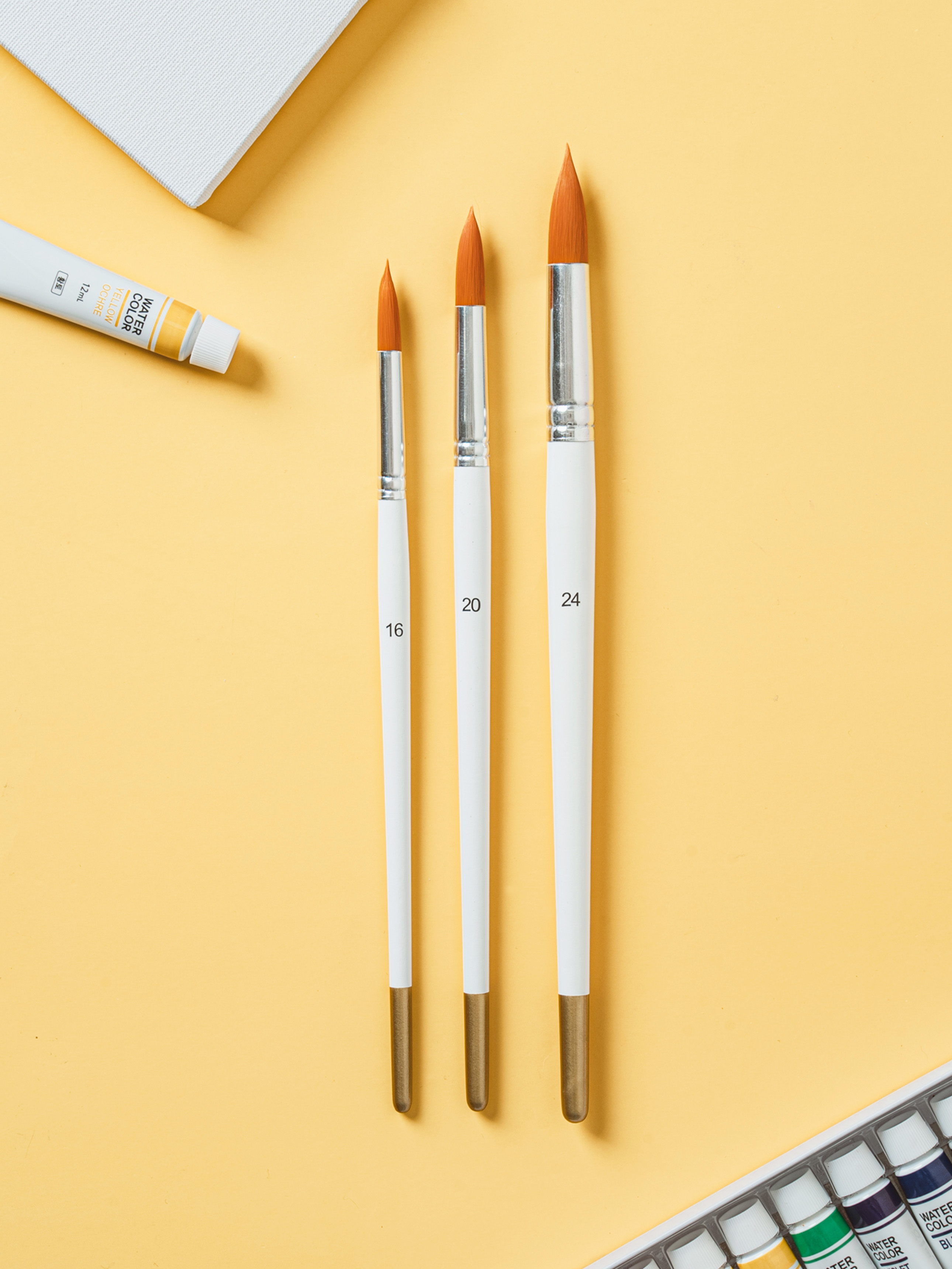 Set of 3 large round brushes