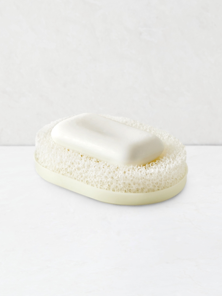 Refreshing sponge soap box