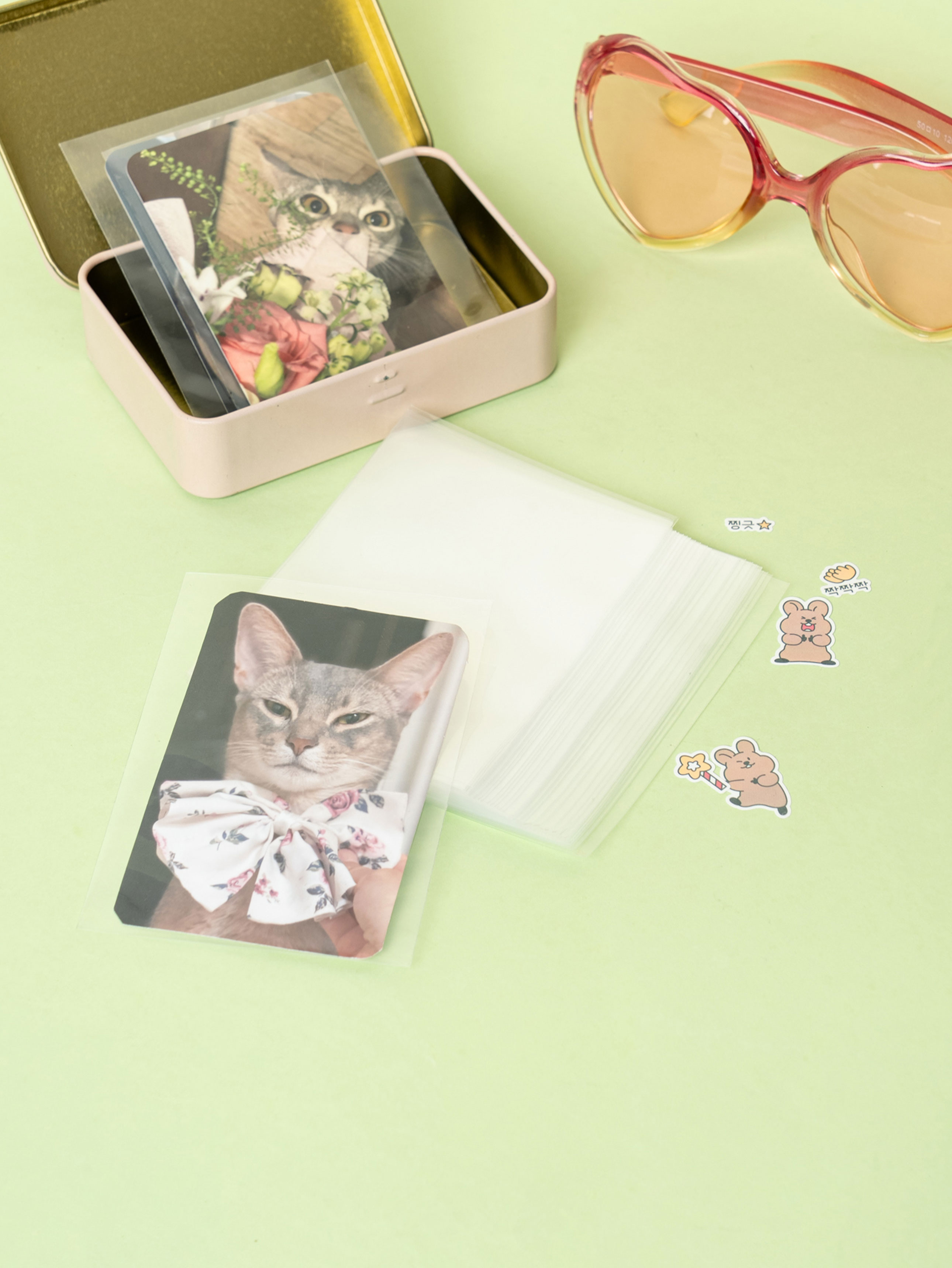 Polkku photo card sleeves 40 sheets transparent