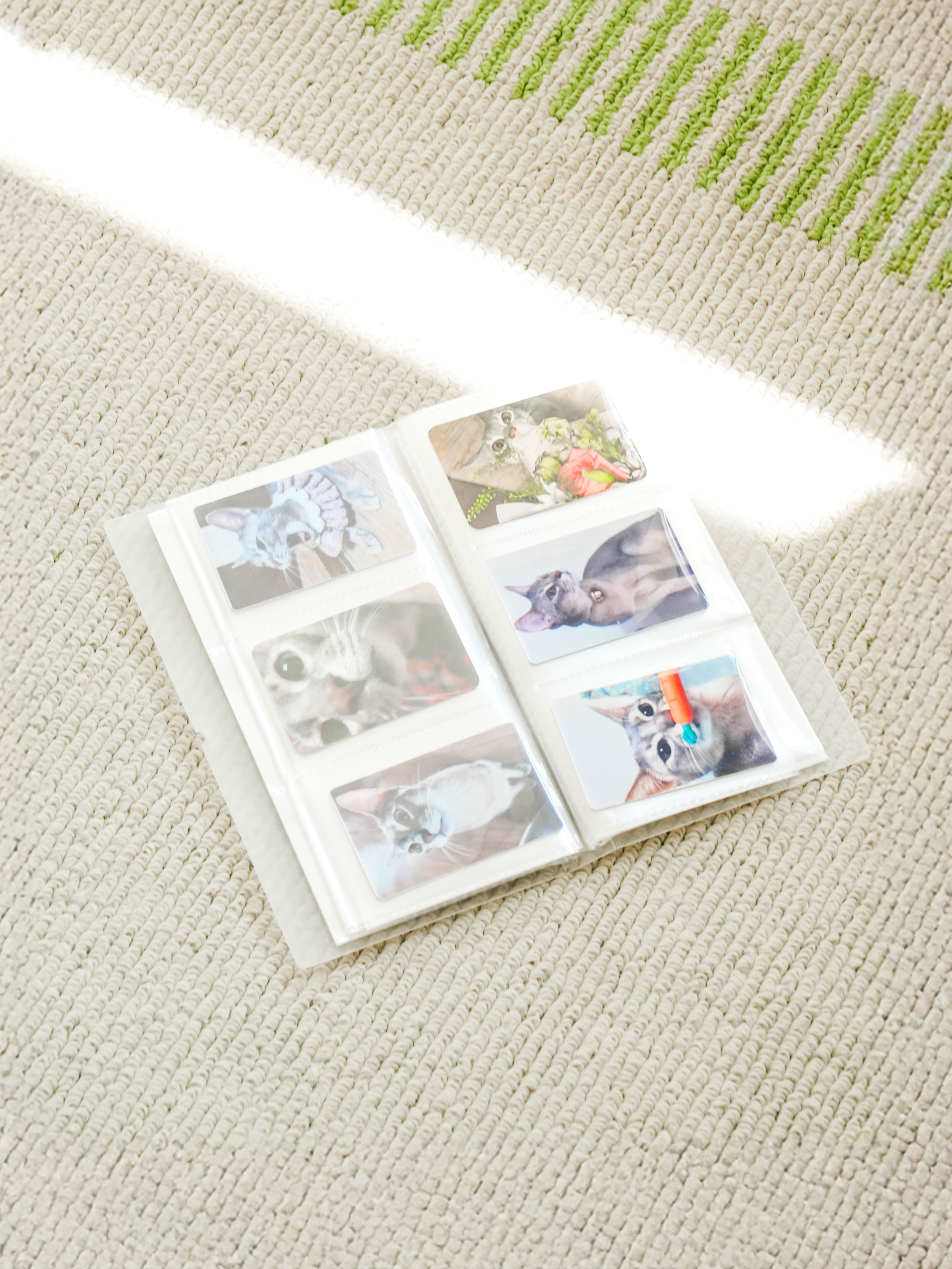 Polkku translucent photo card album 30 sheets