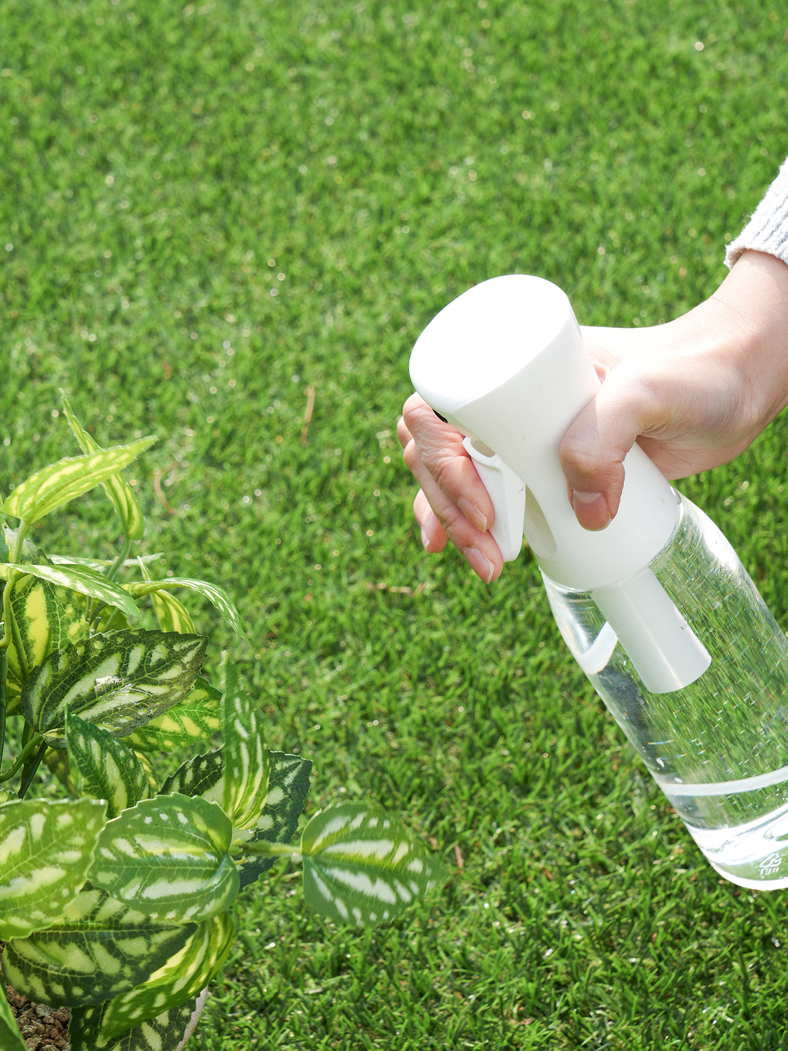 500 ml compressed spray mist sprayer
