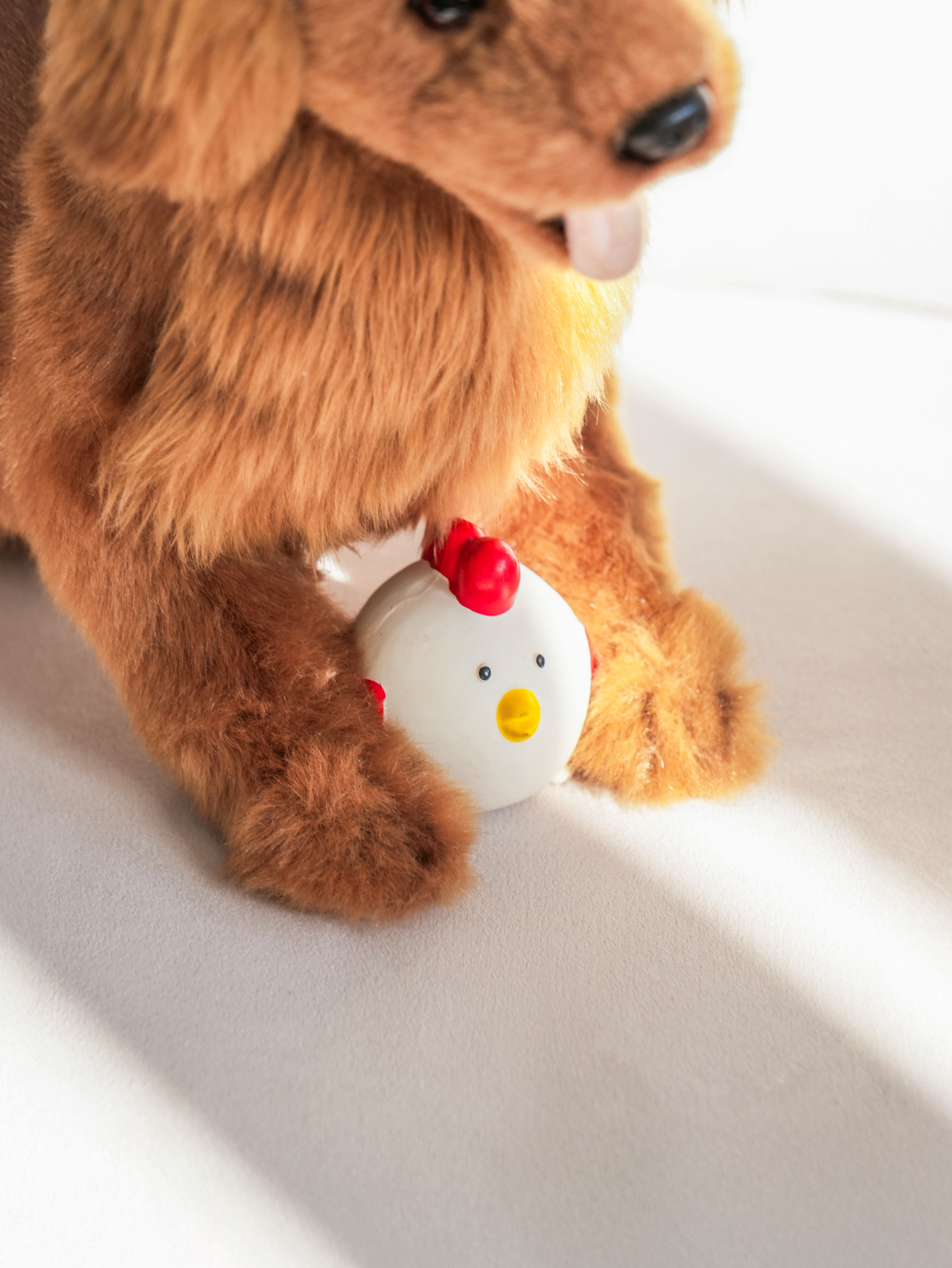 [Pet] Latex chicken-shaped squeak
