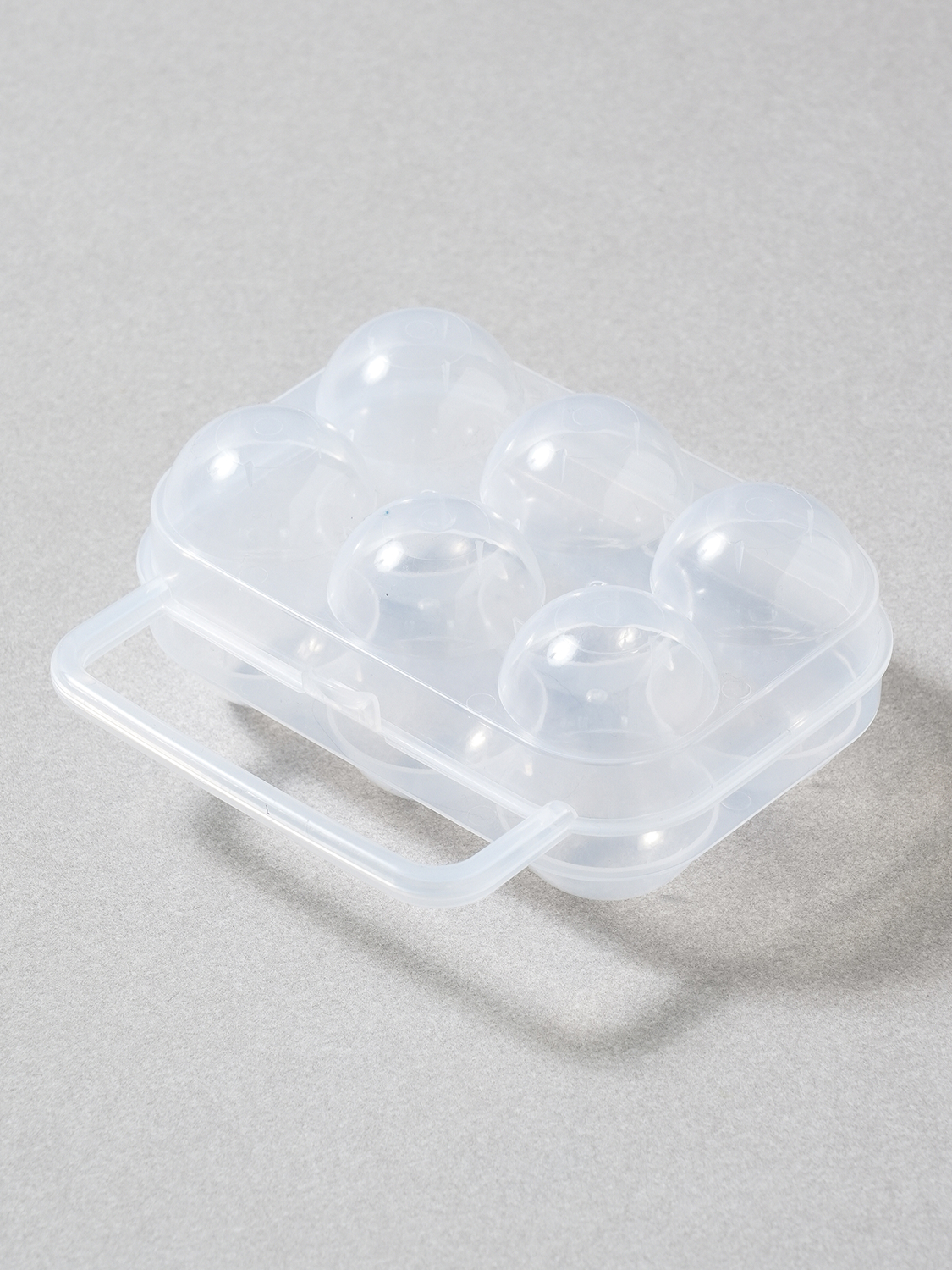 6 egg case