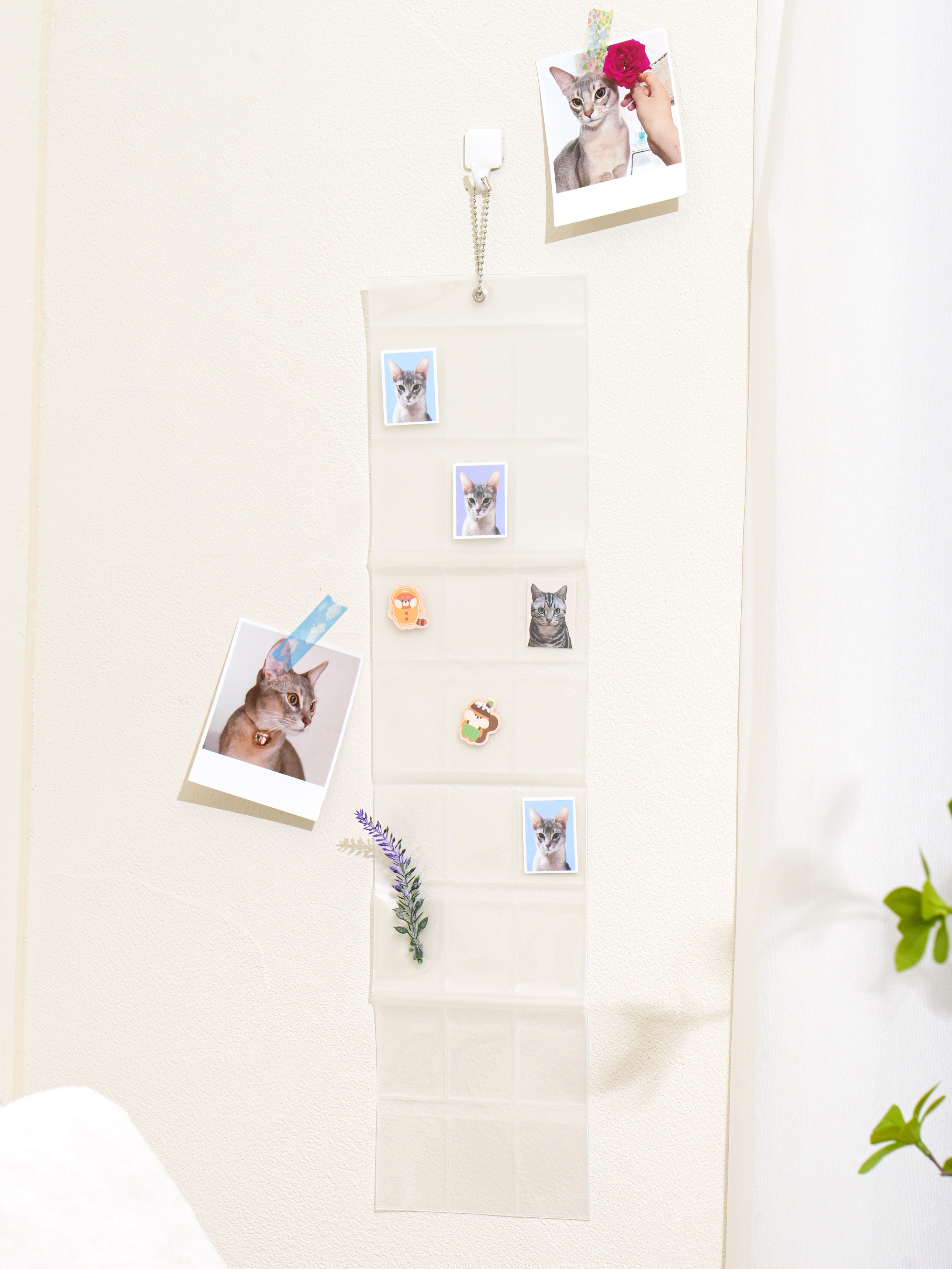 Collect ID photo hanging album 24 spaces