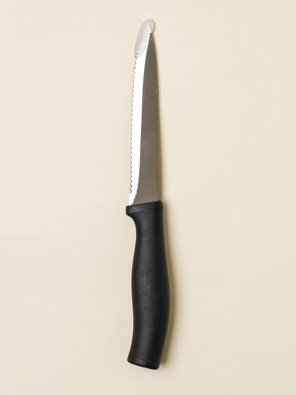 Stainless Steel Steak Knife 22.5 cm