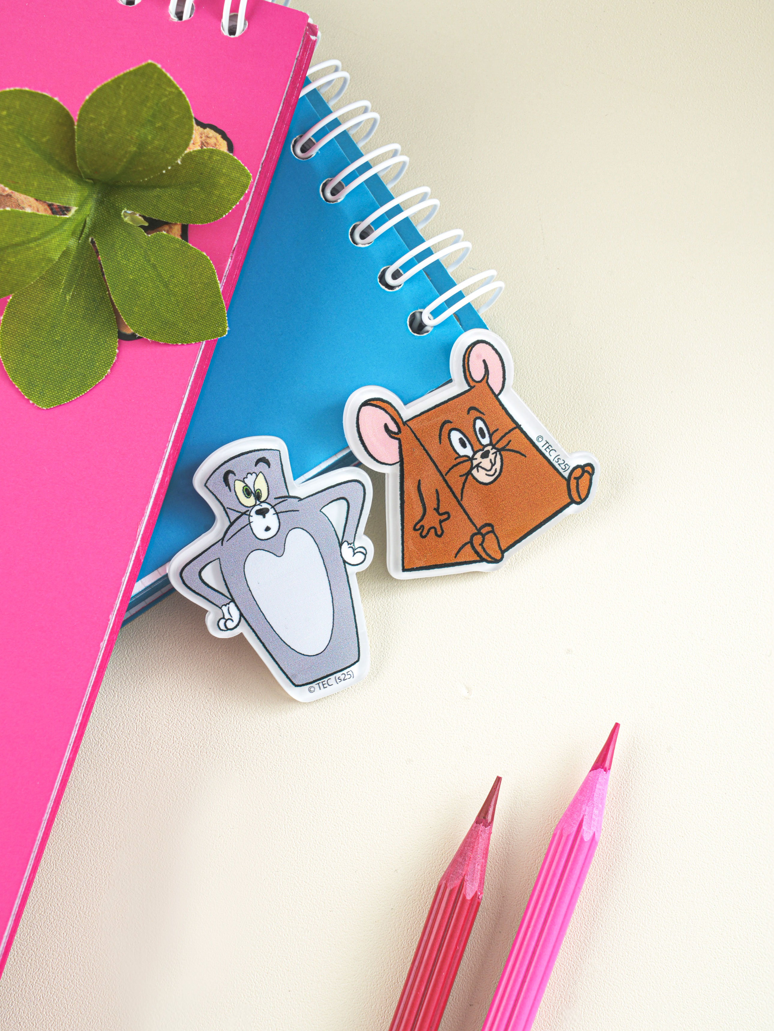 Tom and Jerry magnets (2 pieces)