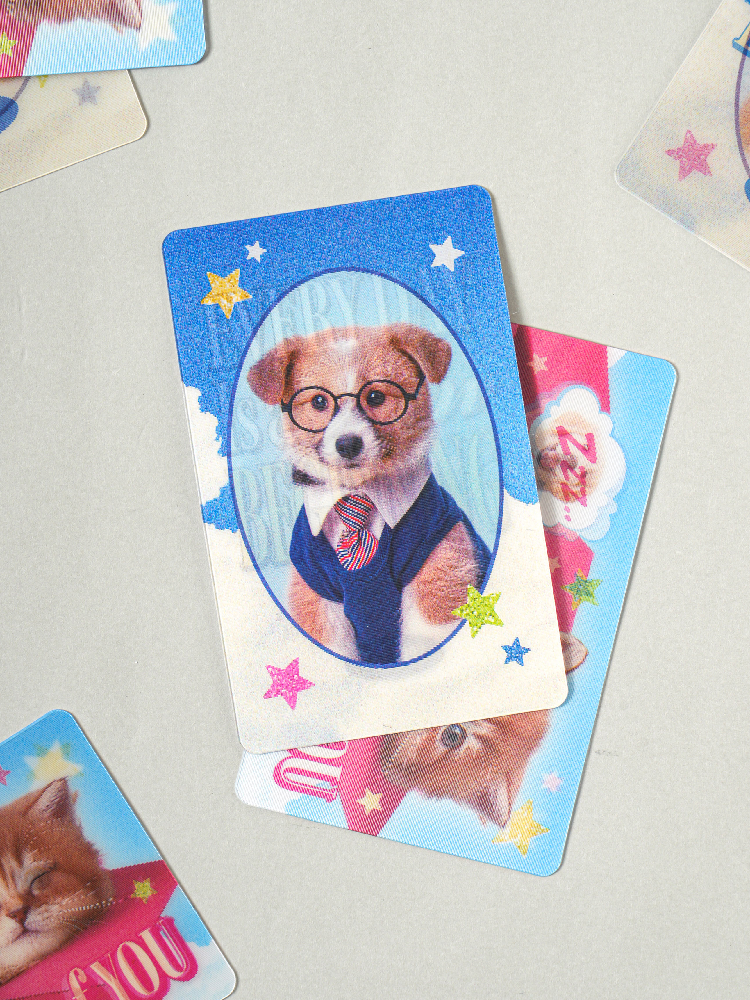 Animal lenticular stickers 6 sheets