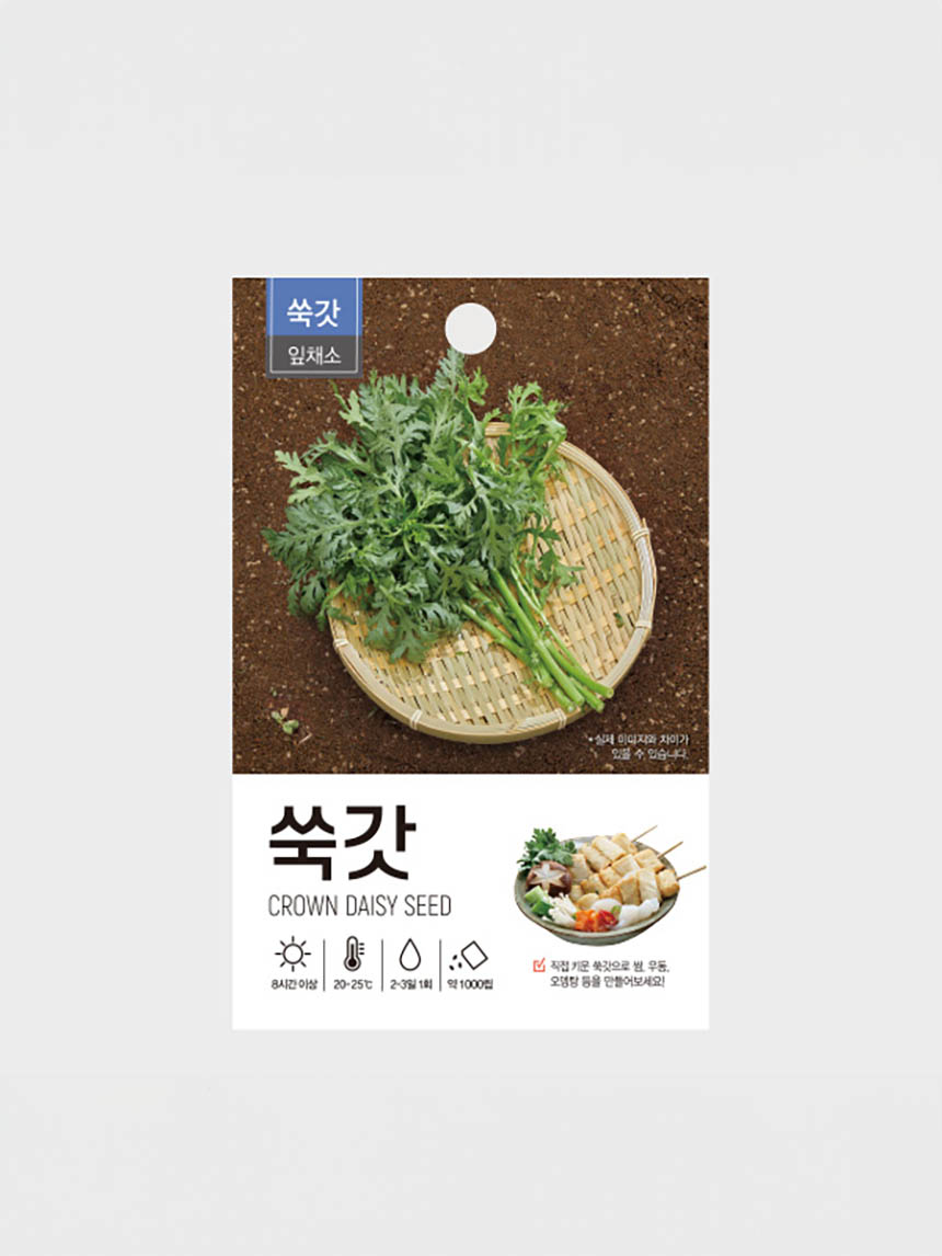 Green Star Chrysanthemum Seeds