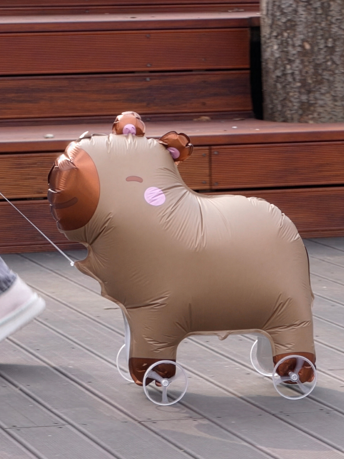 산책 풍선 카피바라