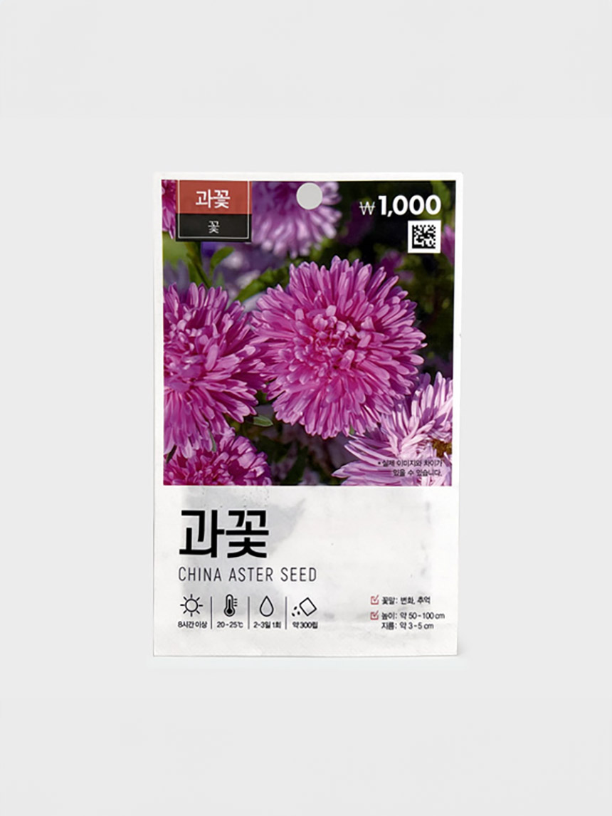 Green Star Aster Seeds