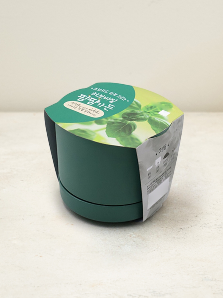 COOM Palm Farm Garden Herb Basil Growing Kit