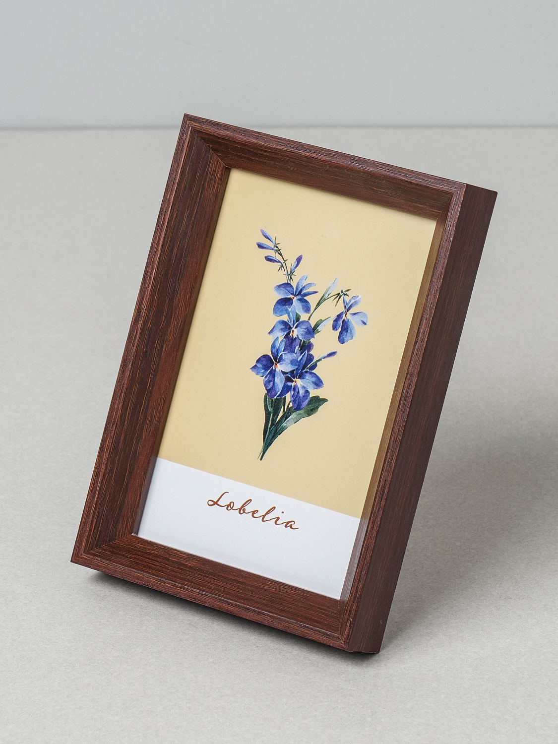 Frame Deep Picture 10.2