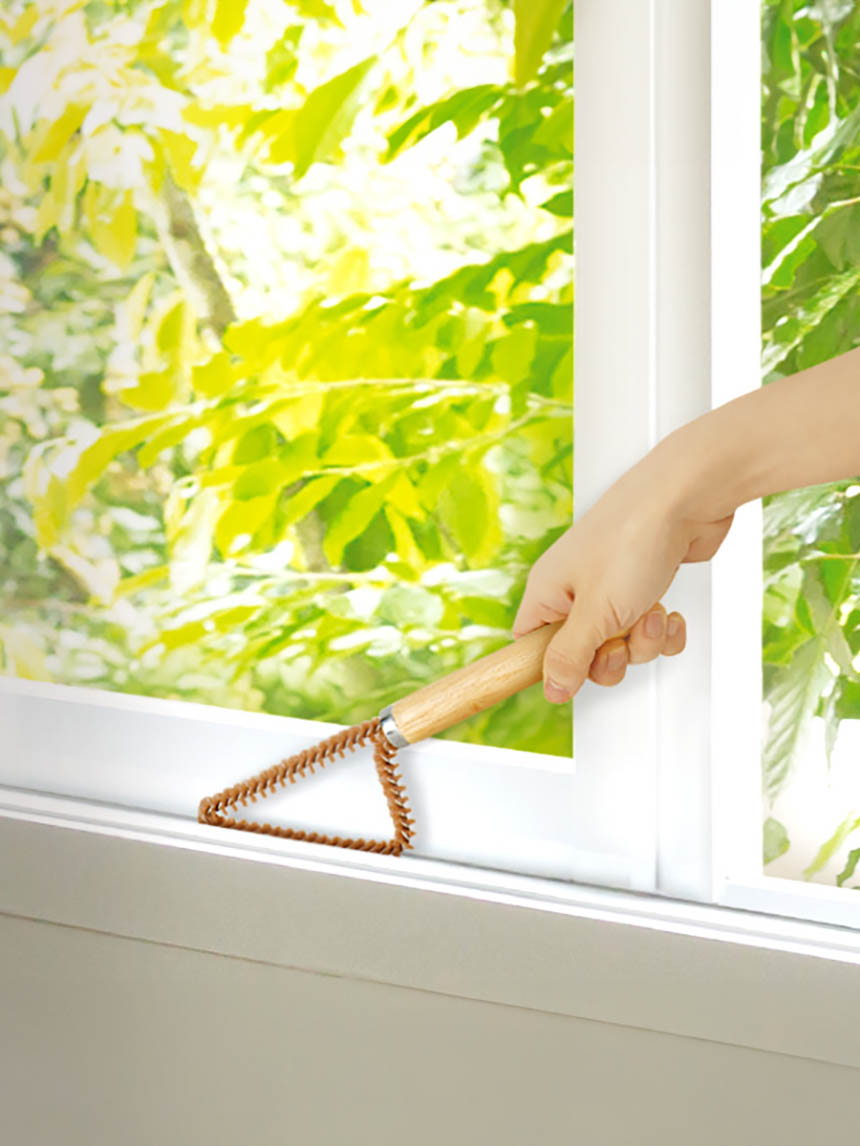 rubber tree window sill brush